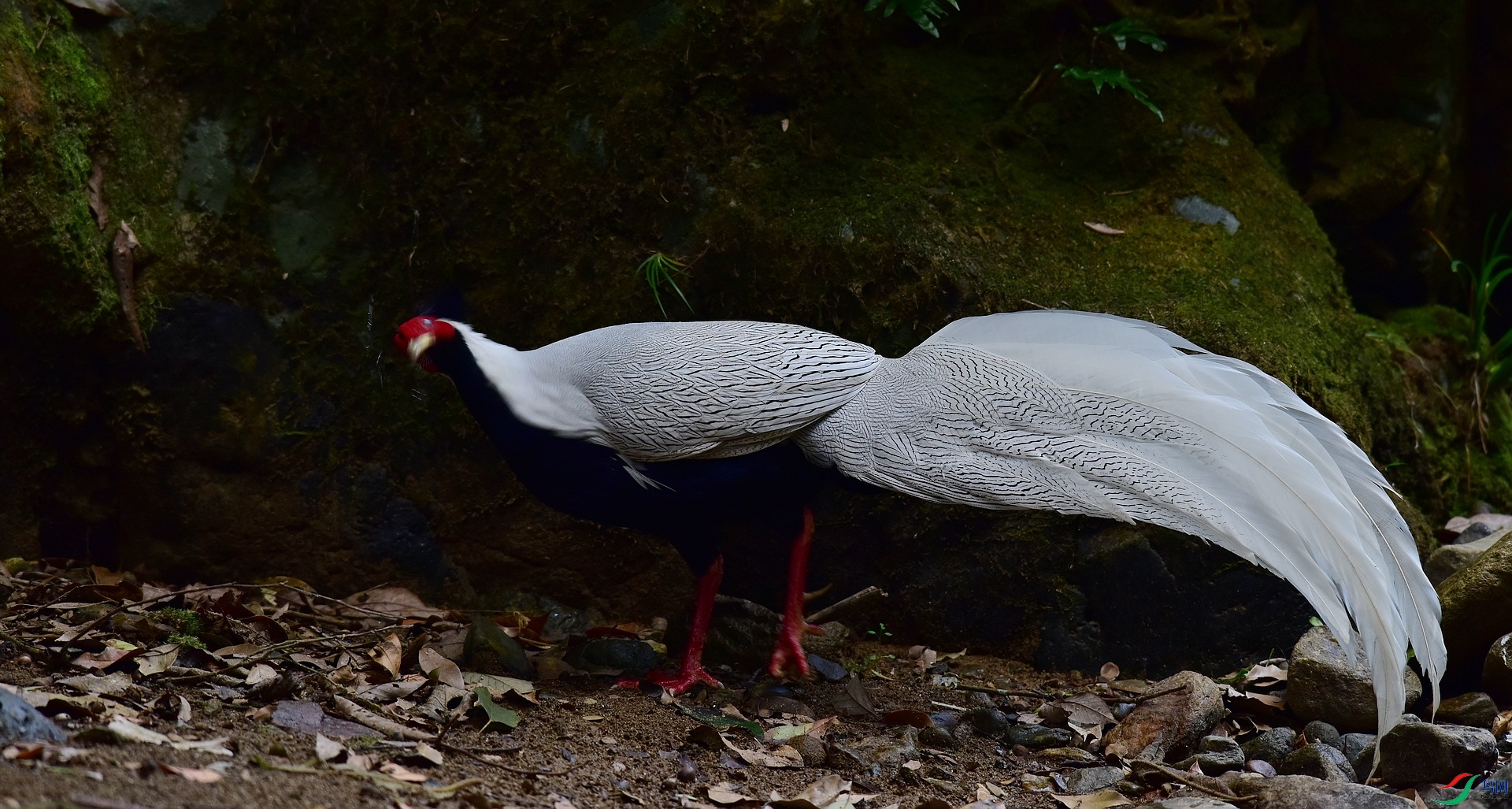 D8I_3640.jpg