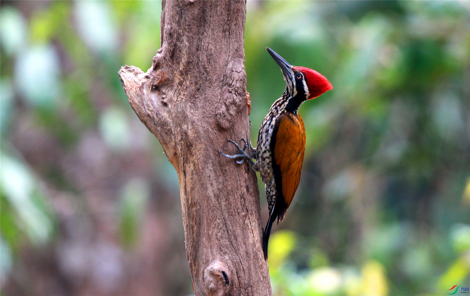 H46R3821_����_���� (2).jpg