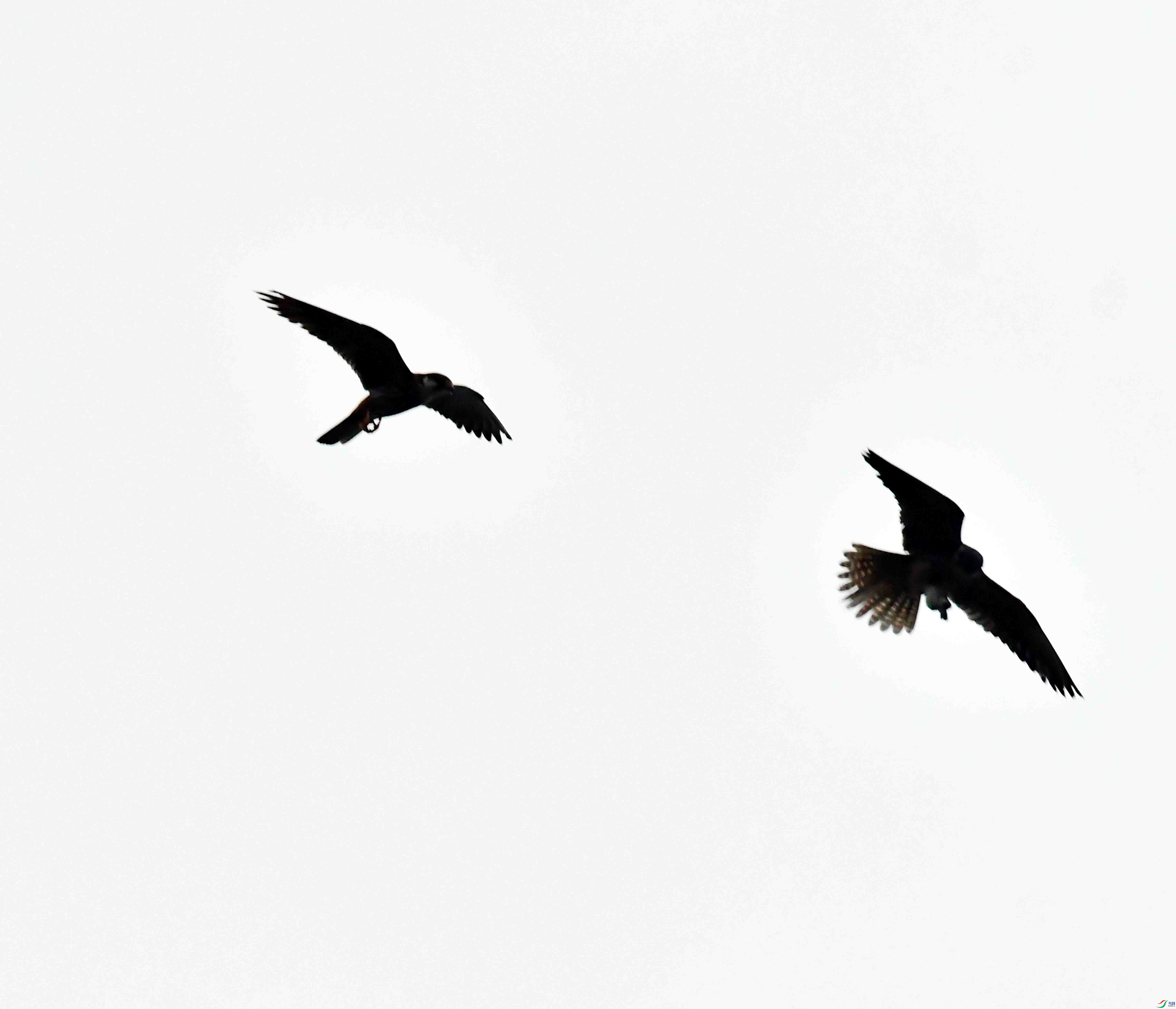 DSC_3867.JPG