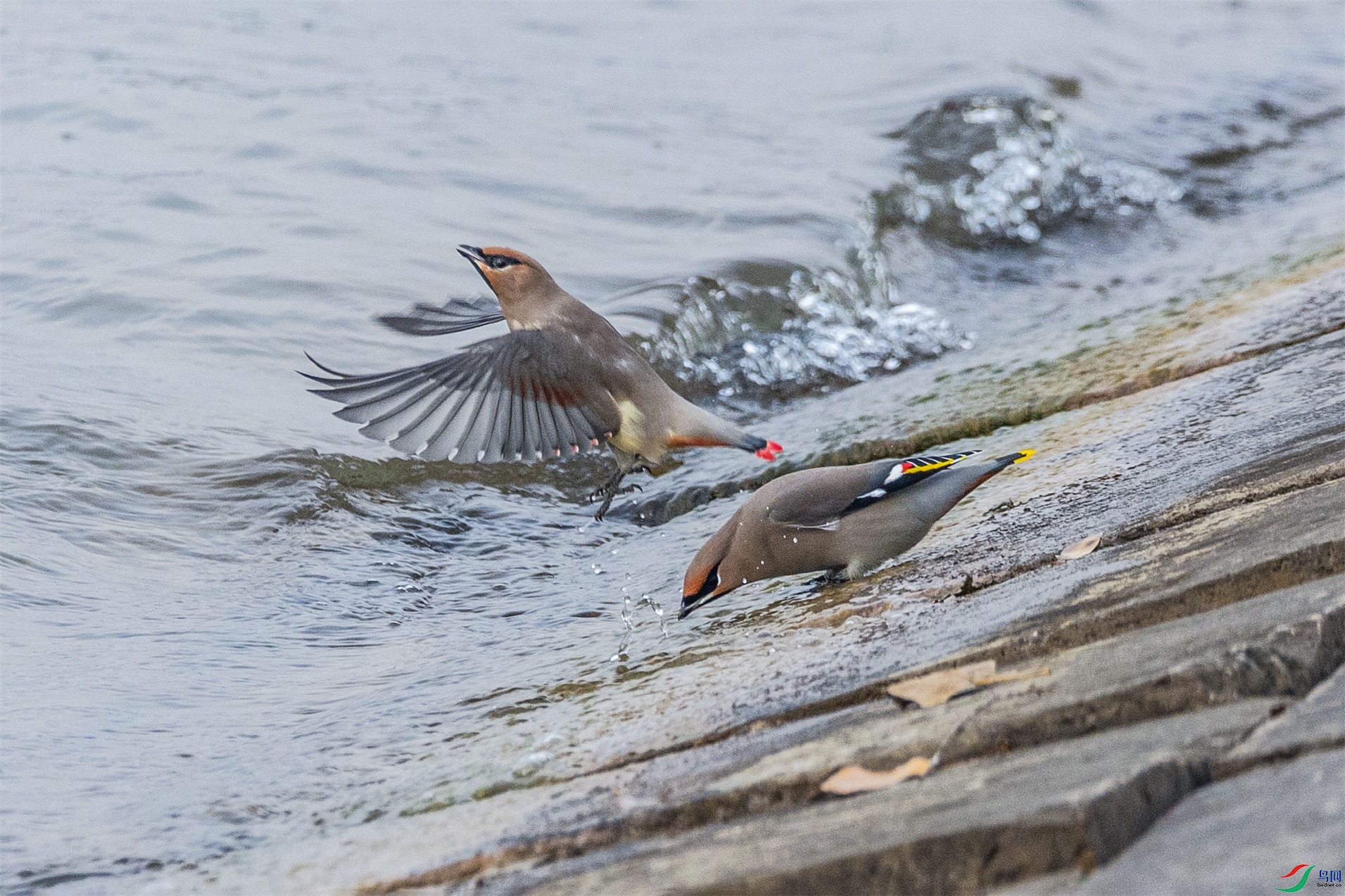 1K3A5648 ����1.jpg