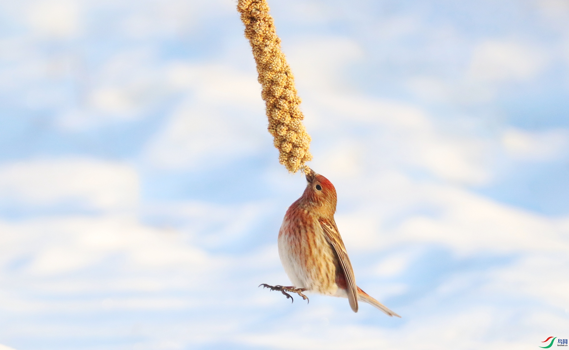 0G1A5641 ����.jpg