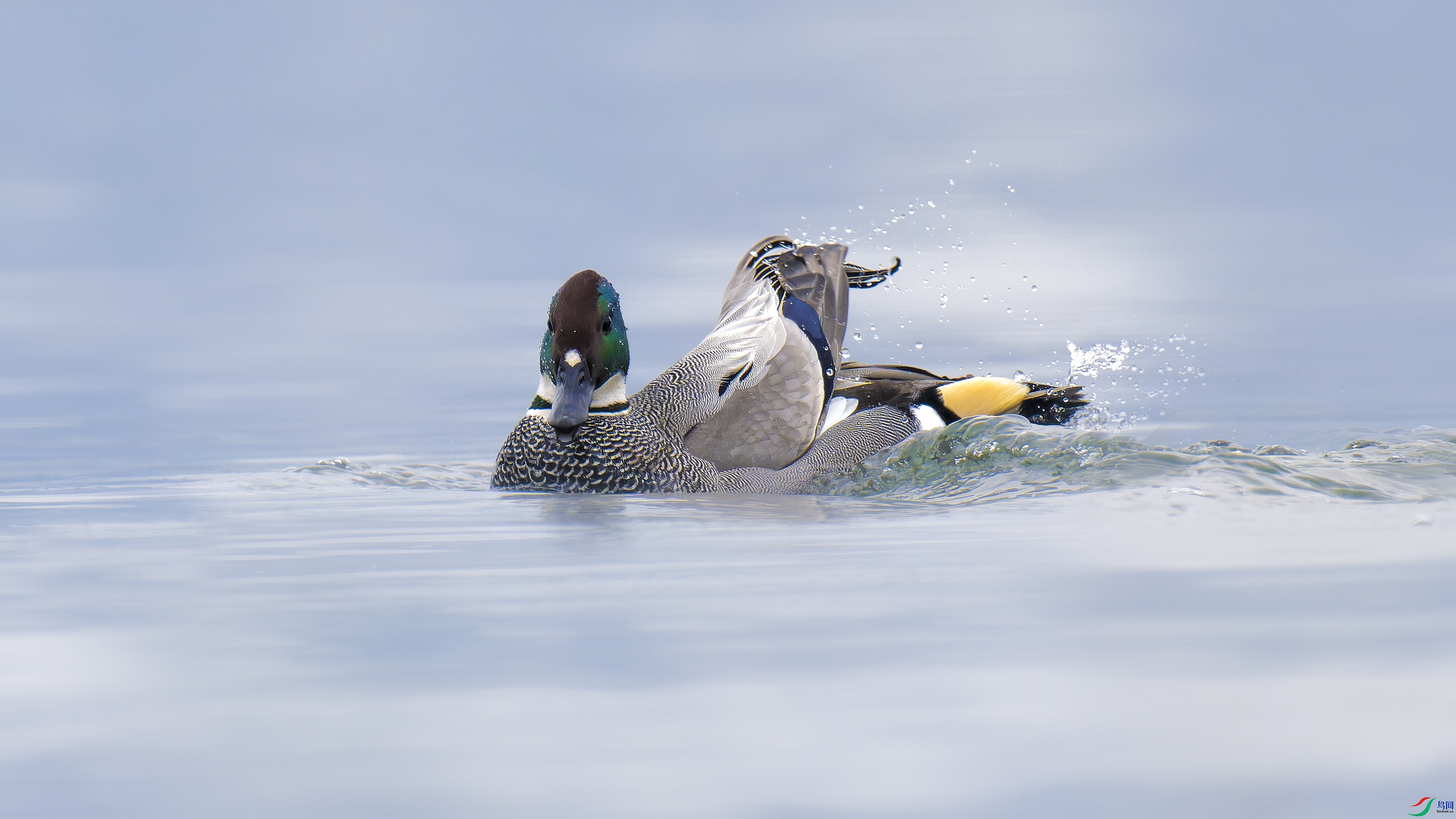 DSC_5456_DxO.jpg