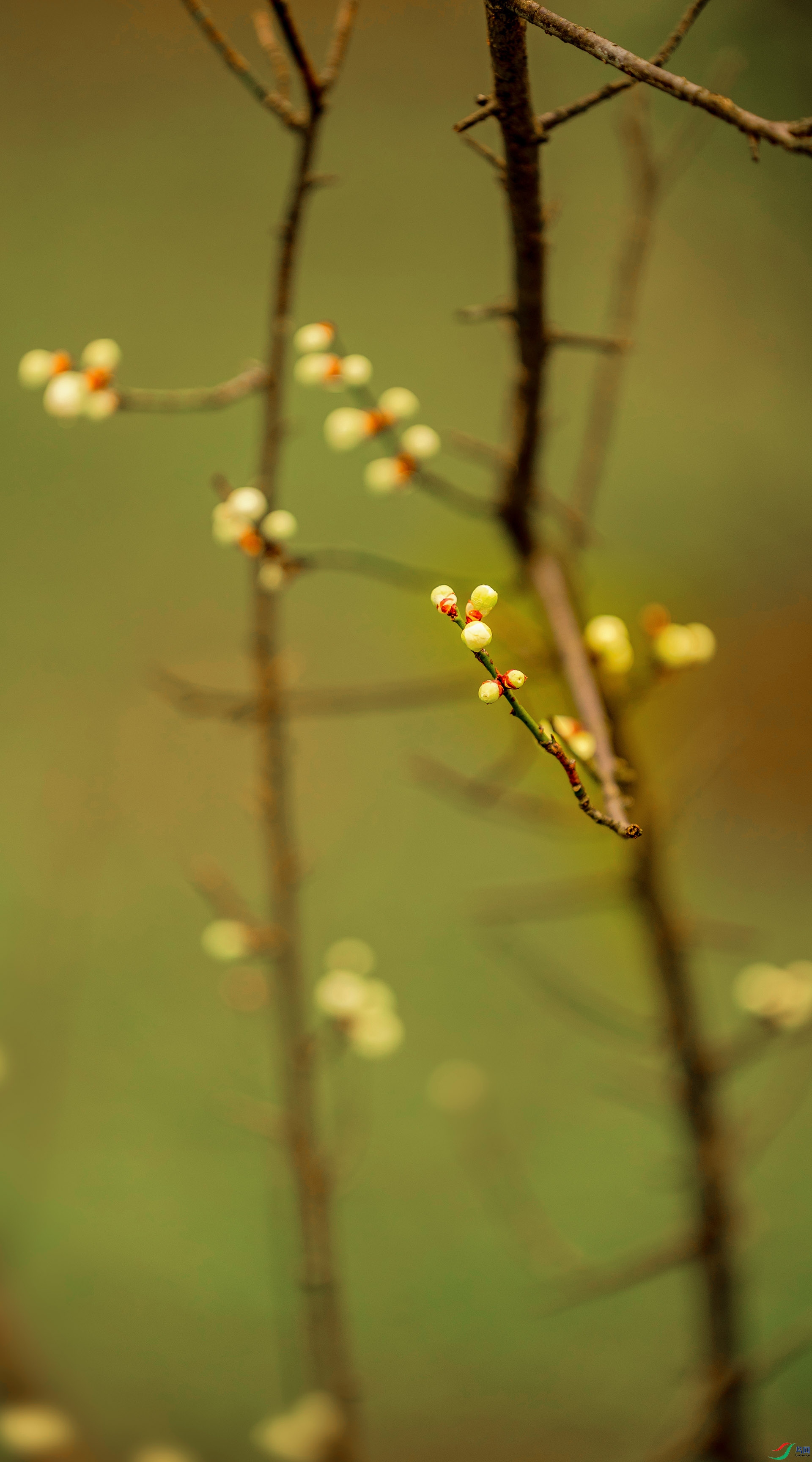 _A3A4973-211ab.jpg