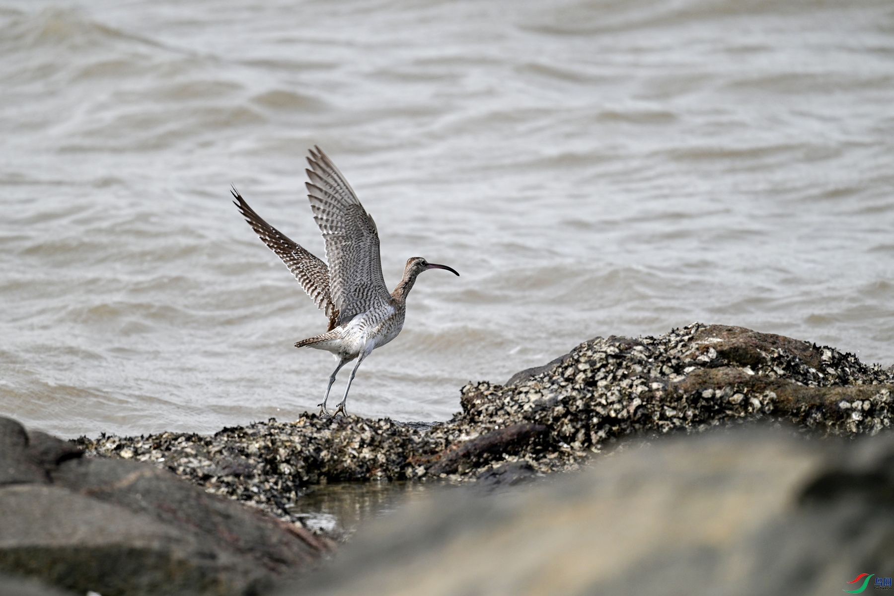 DSC_4595.JPG