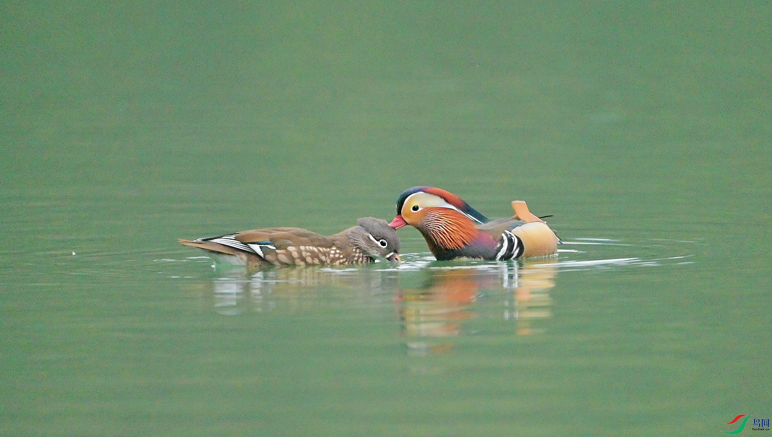 {F5DAD8F1-7597-4062-BD53-06246DD7C7D8} ����.jpg