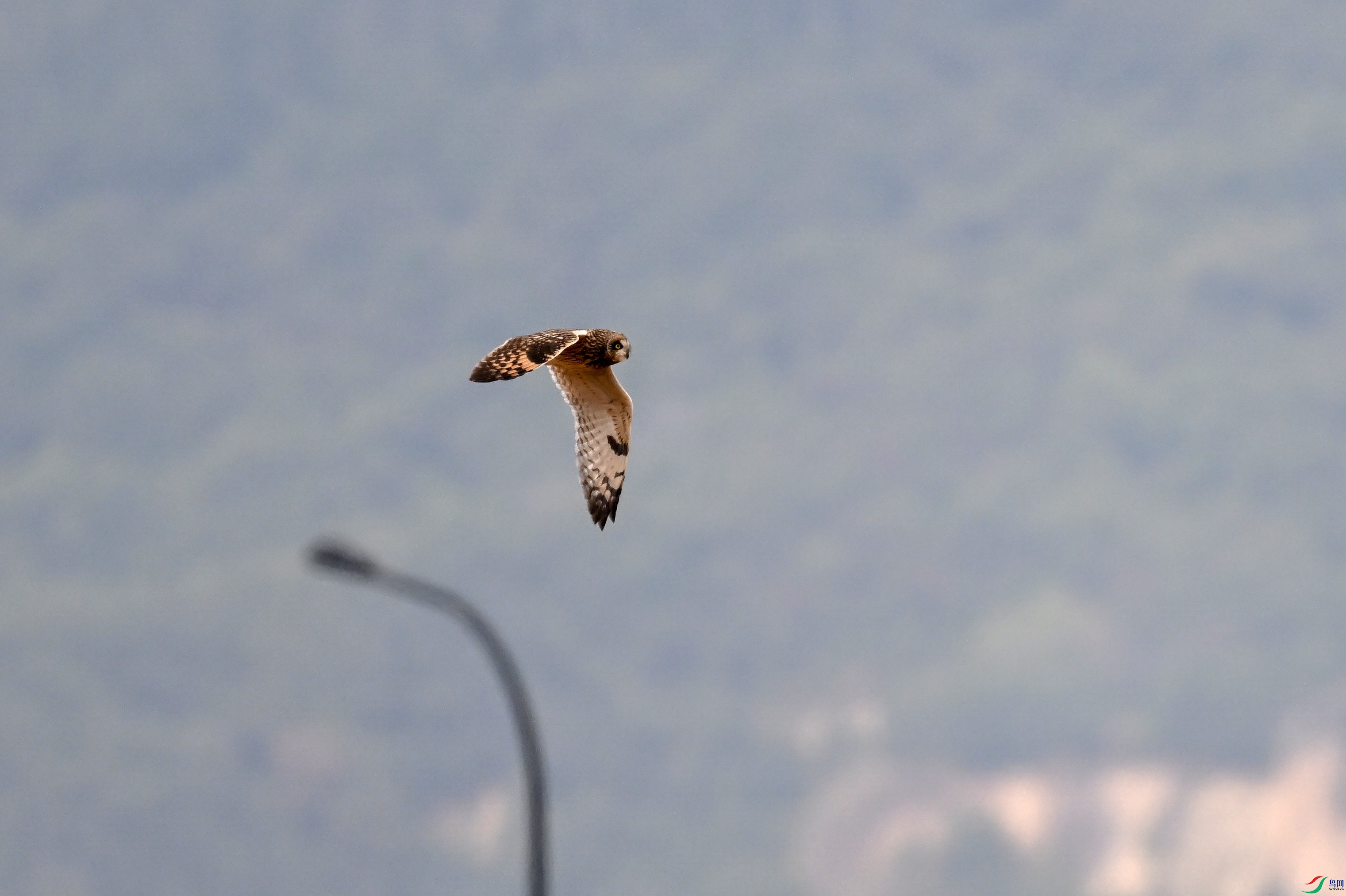 �̶��^12. 15.JPG