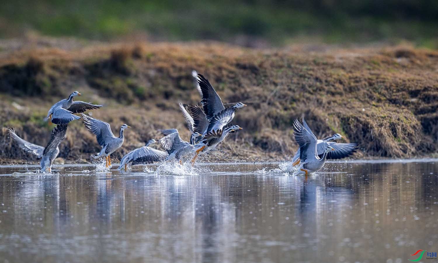 DSC_5012 ����.jpg