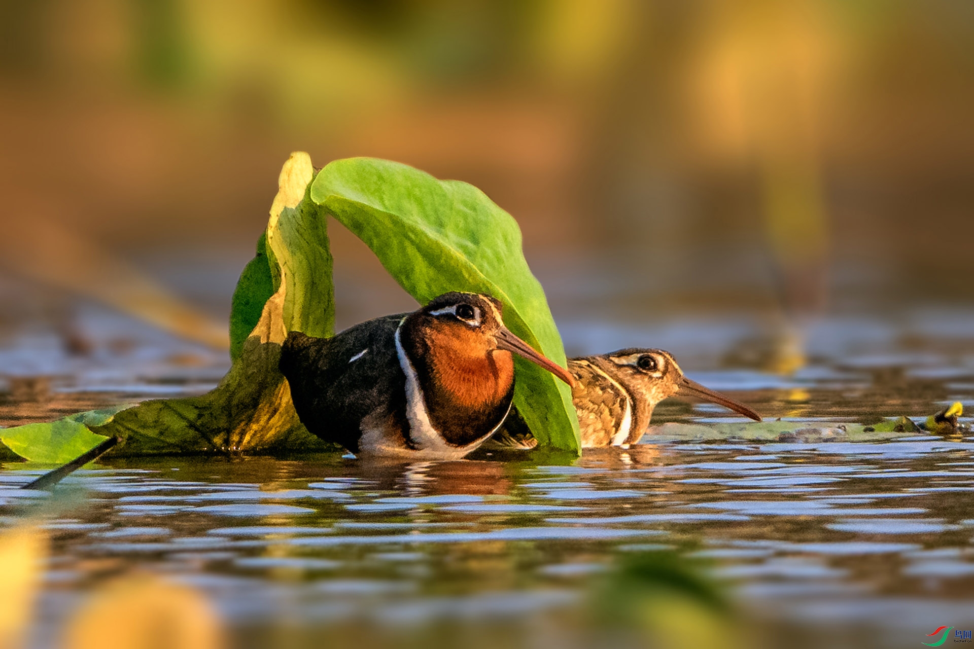 _AUU2694����(24.5.4).jpg
