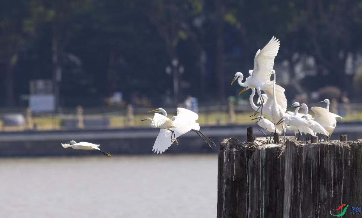 ����ˮ����ط�