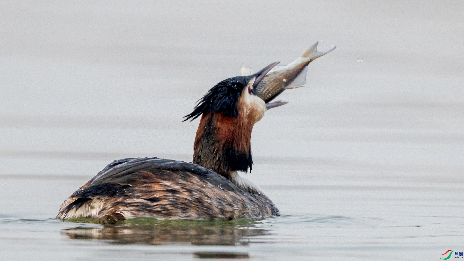 1---10 ����.jpeg