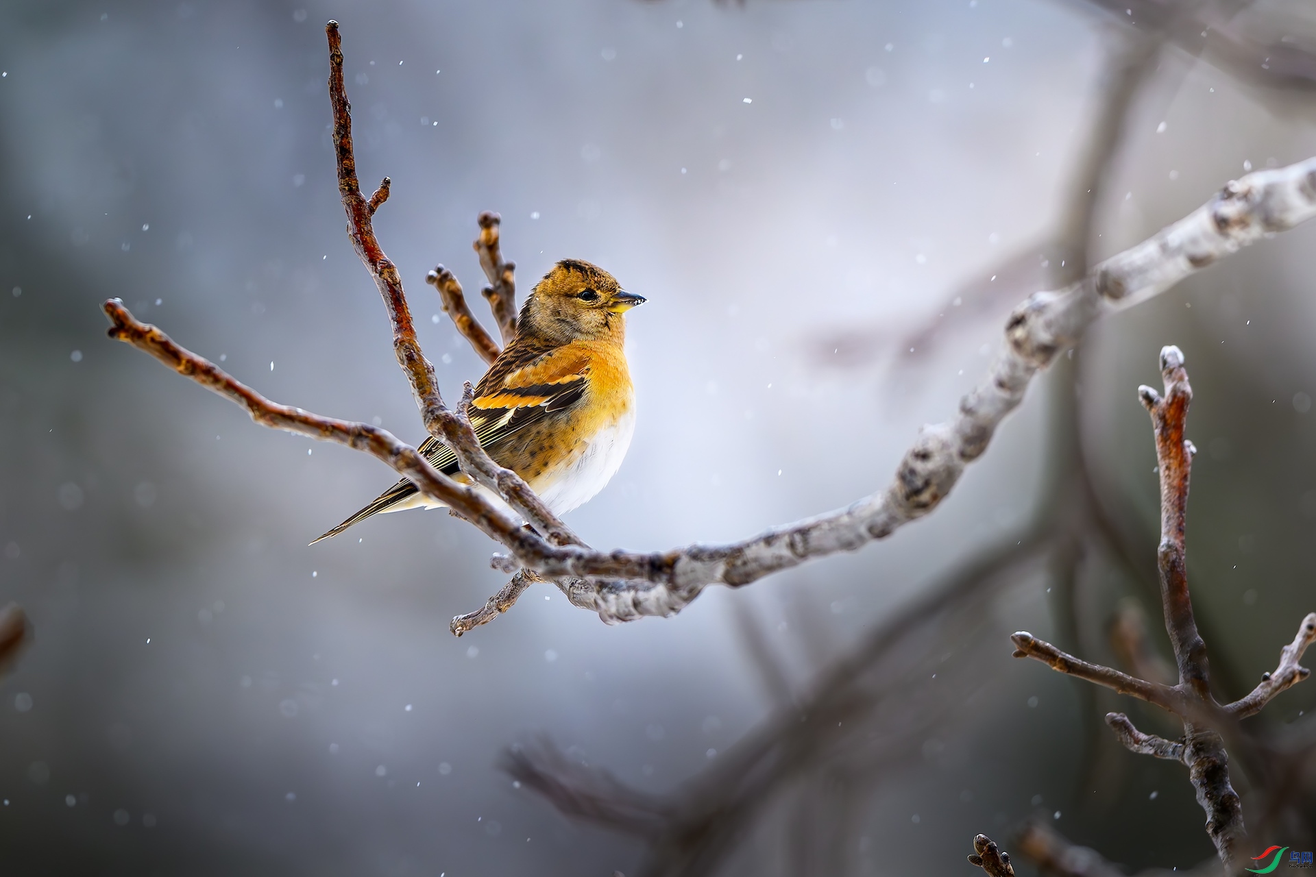 1���ڴ����졷 2.jpeg