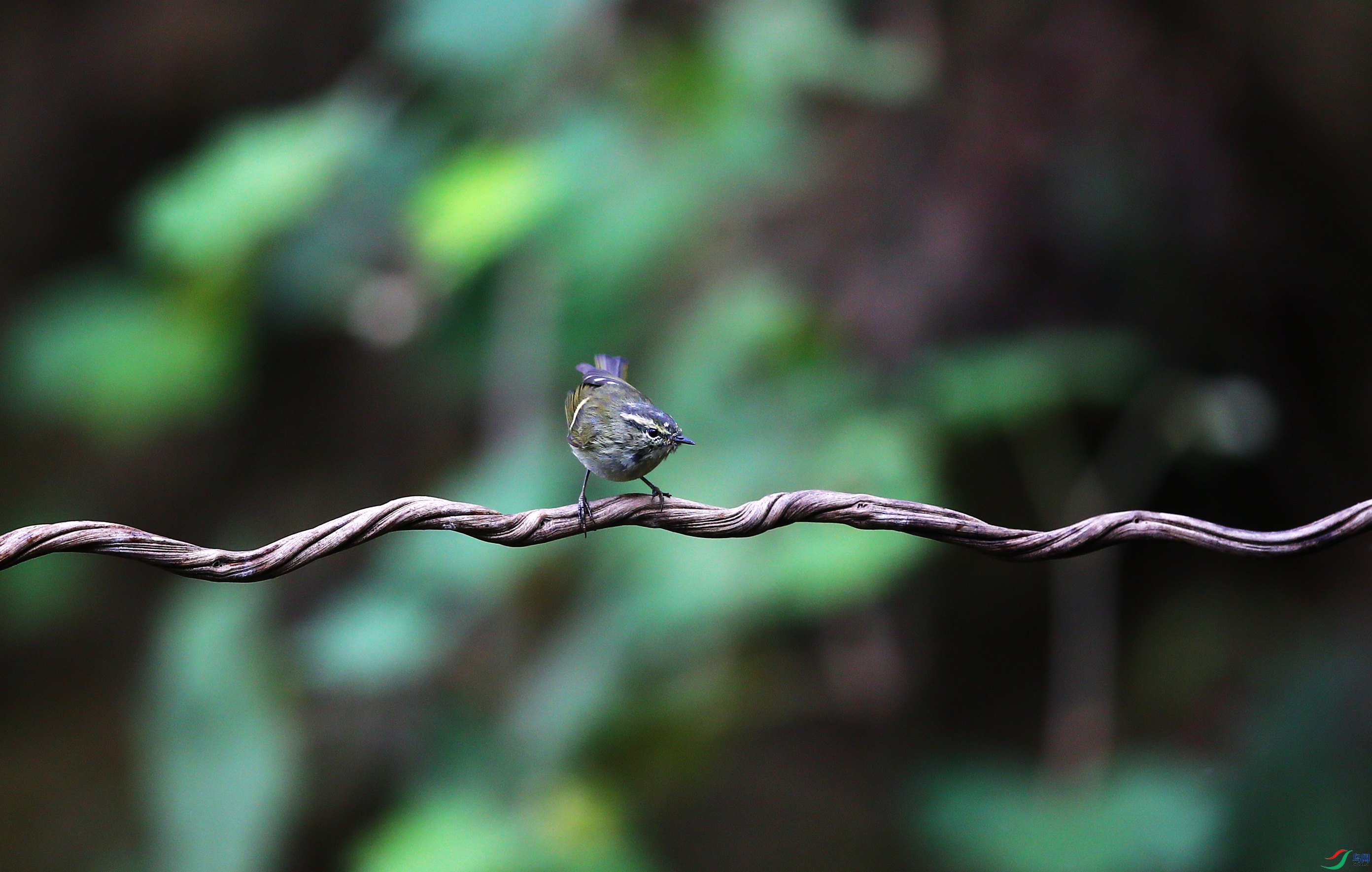 �Һ���ݺ (14).JPG