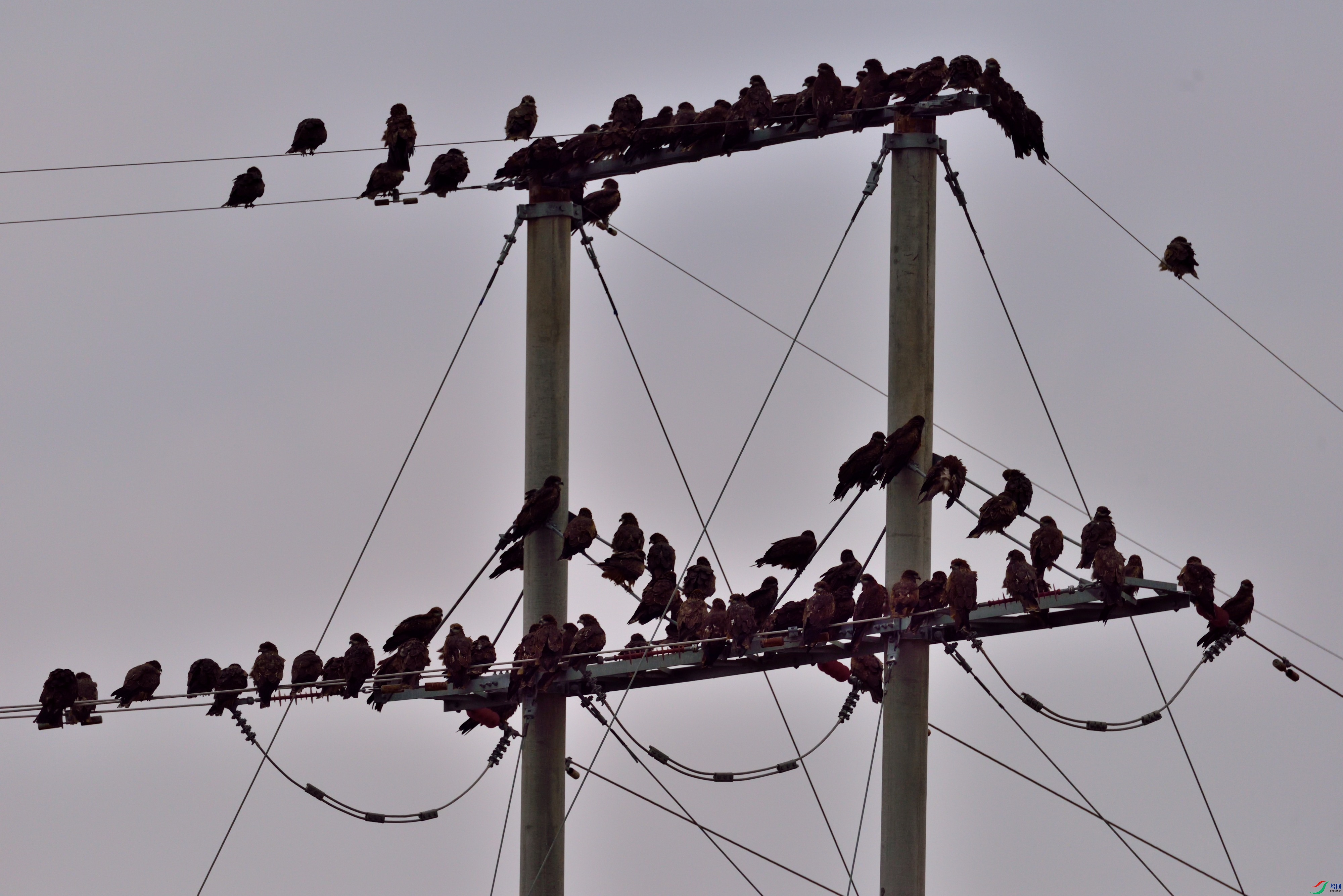DSC_6951.JPG