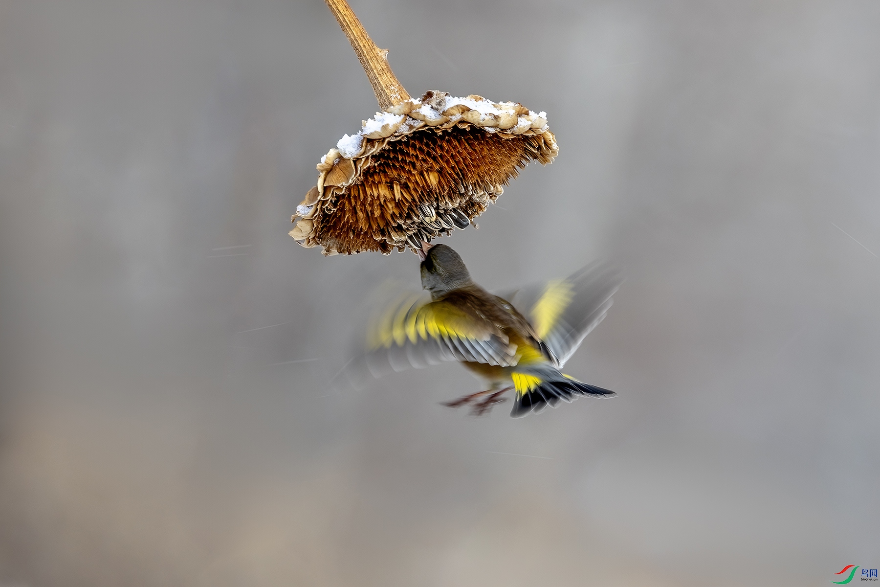 488A0102 ����.jpg