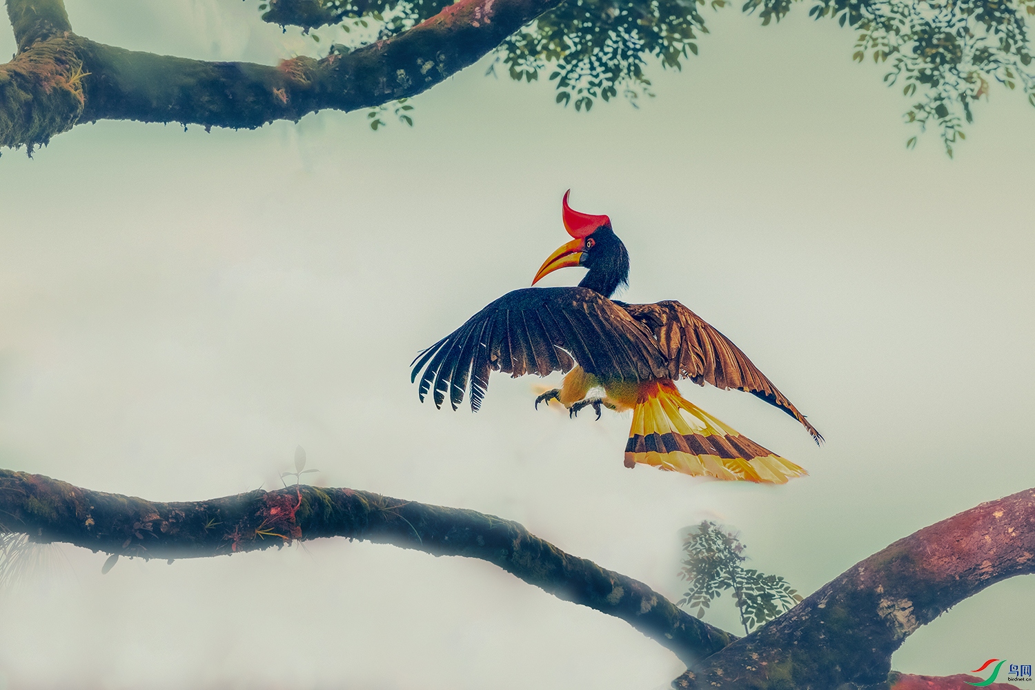 ����Ϭ��----��Ȼ�뻭��