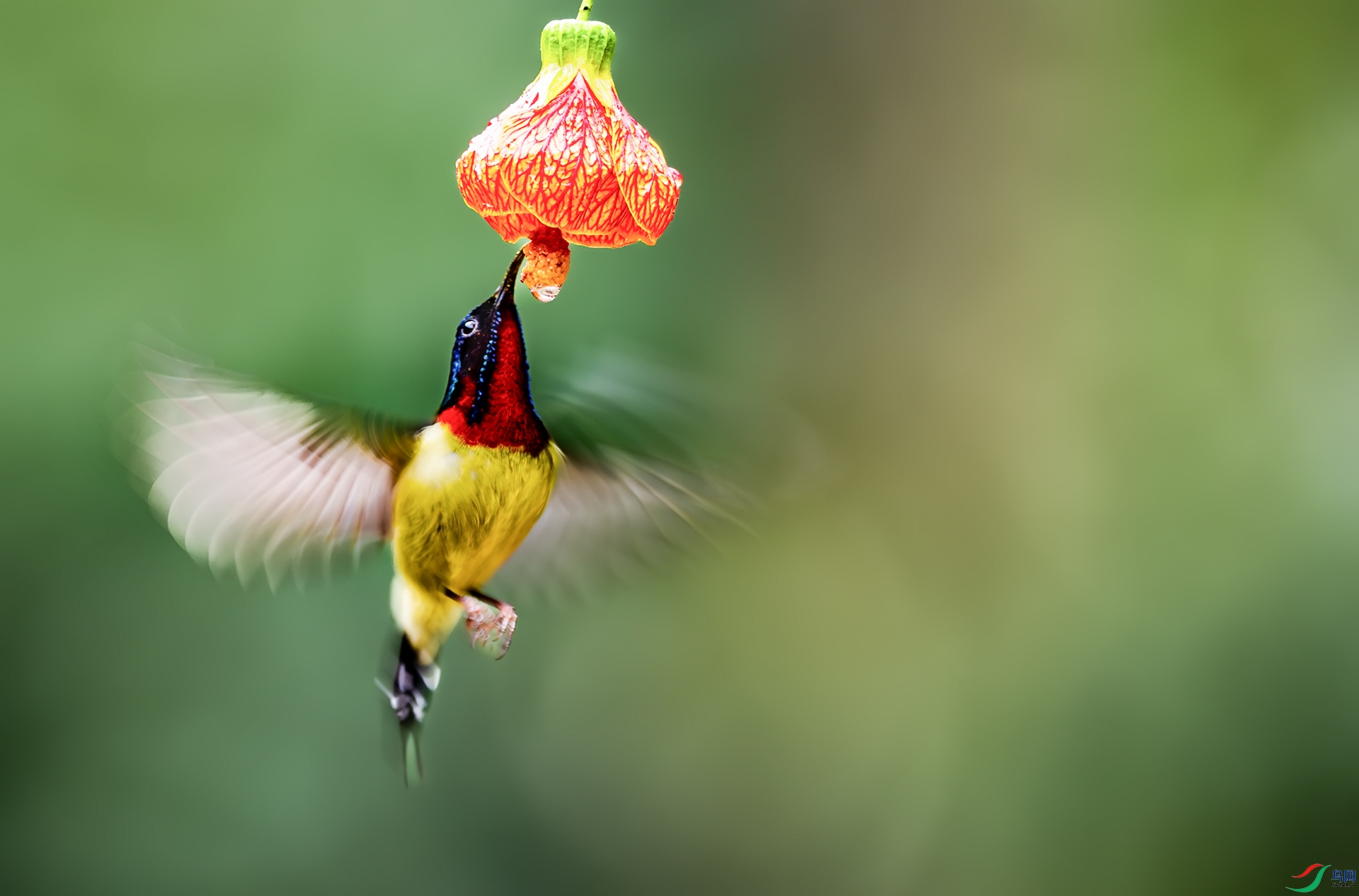 ̫���������˲��