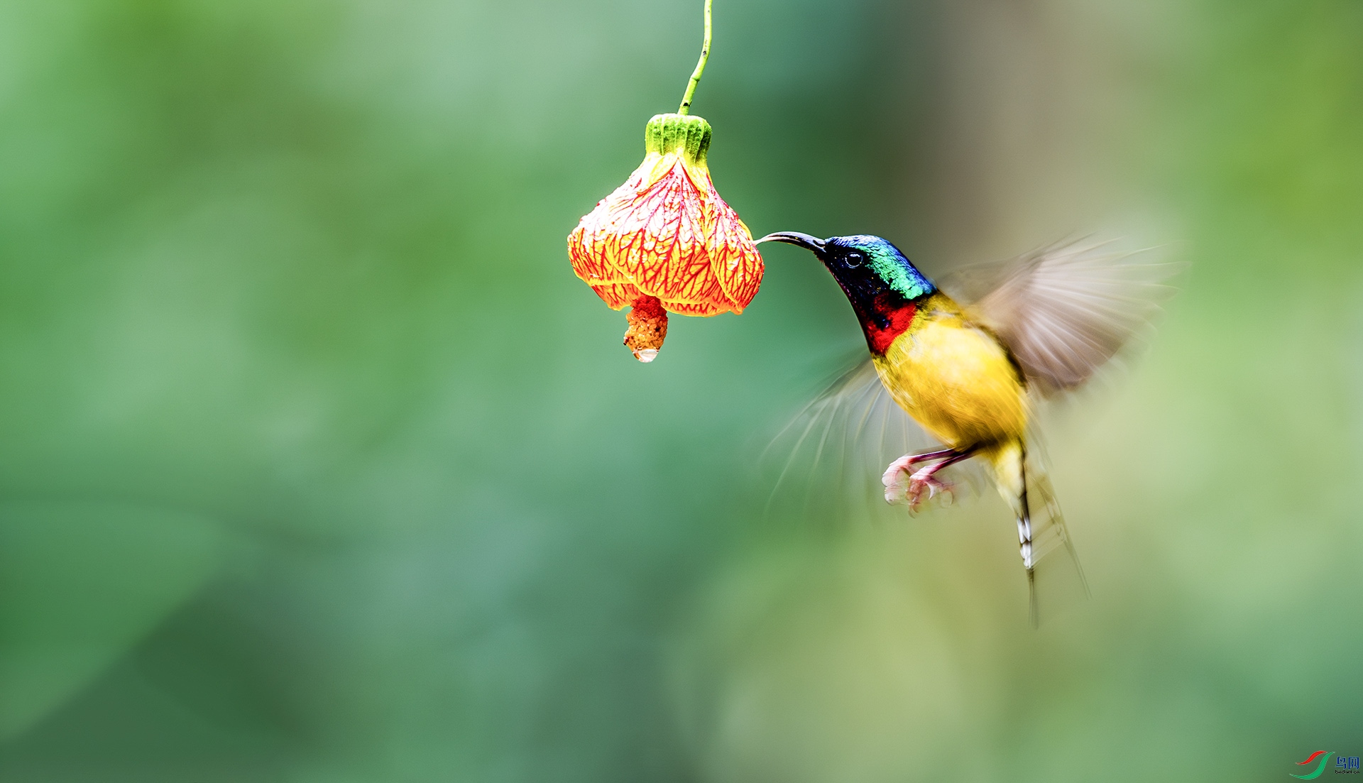 ̫���������˲��