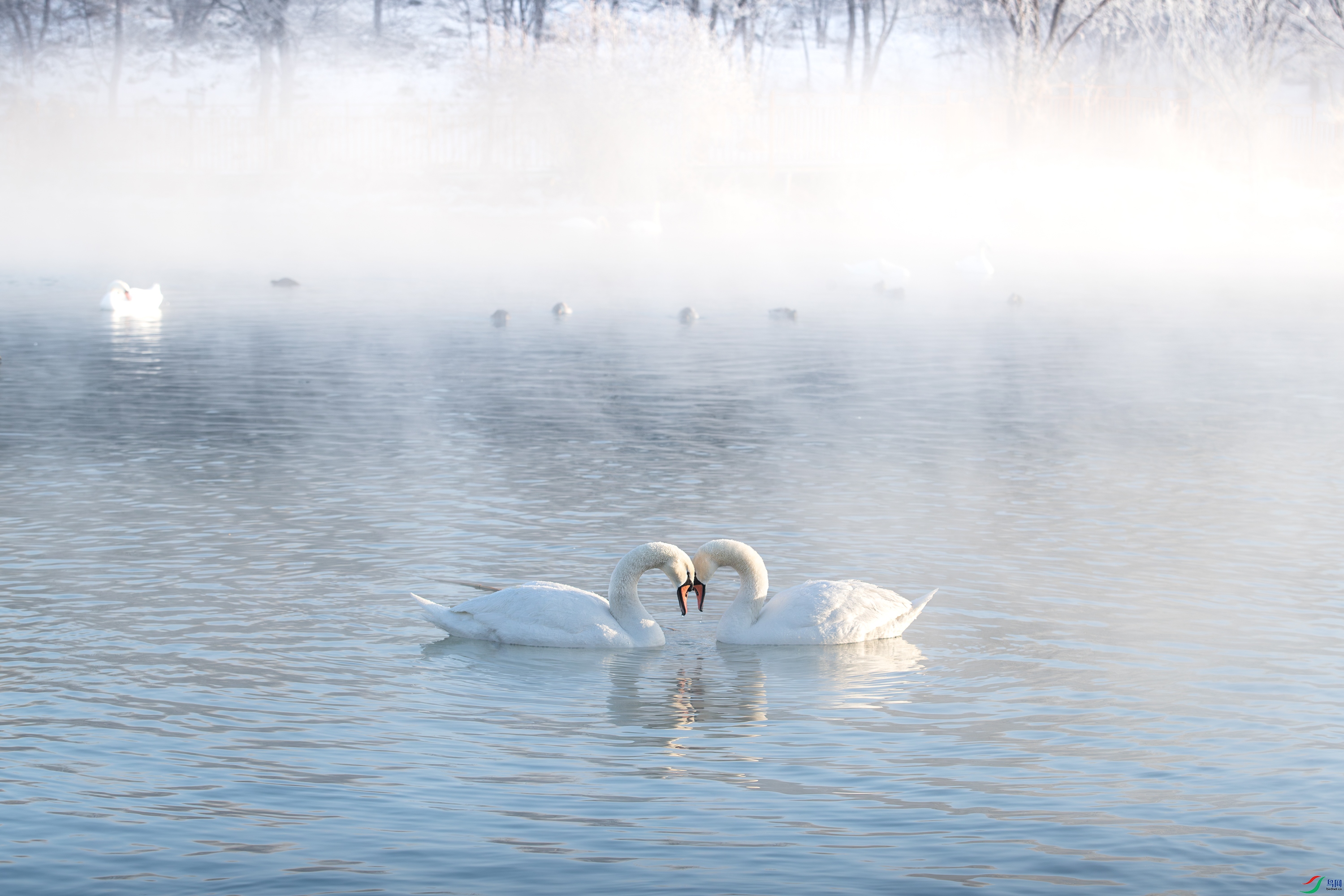 AY8I0969-����ǿ-NR ����.jpg