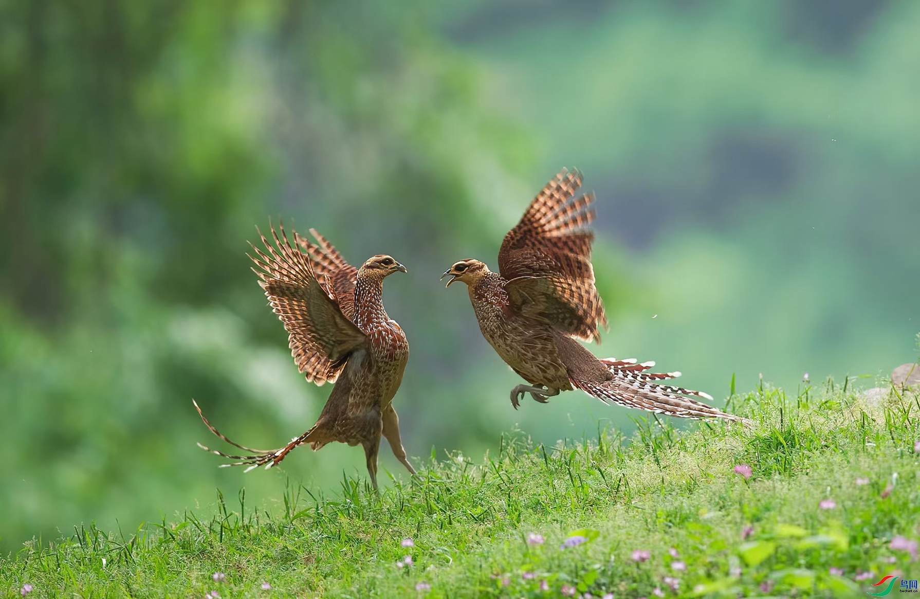 2.14��������ʦ��Ʒ   һ������ ��ף���ٻ����Ѿ�����.jpg