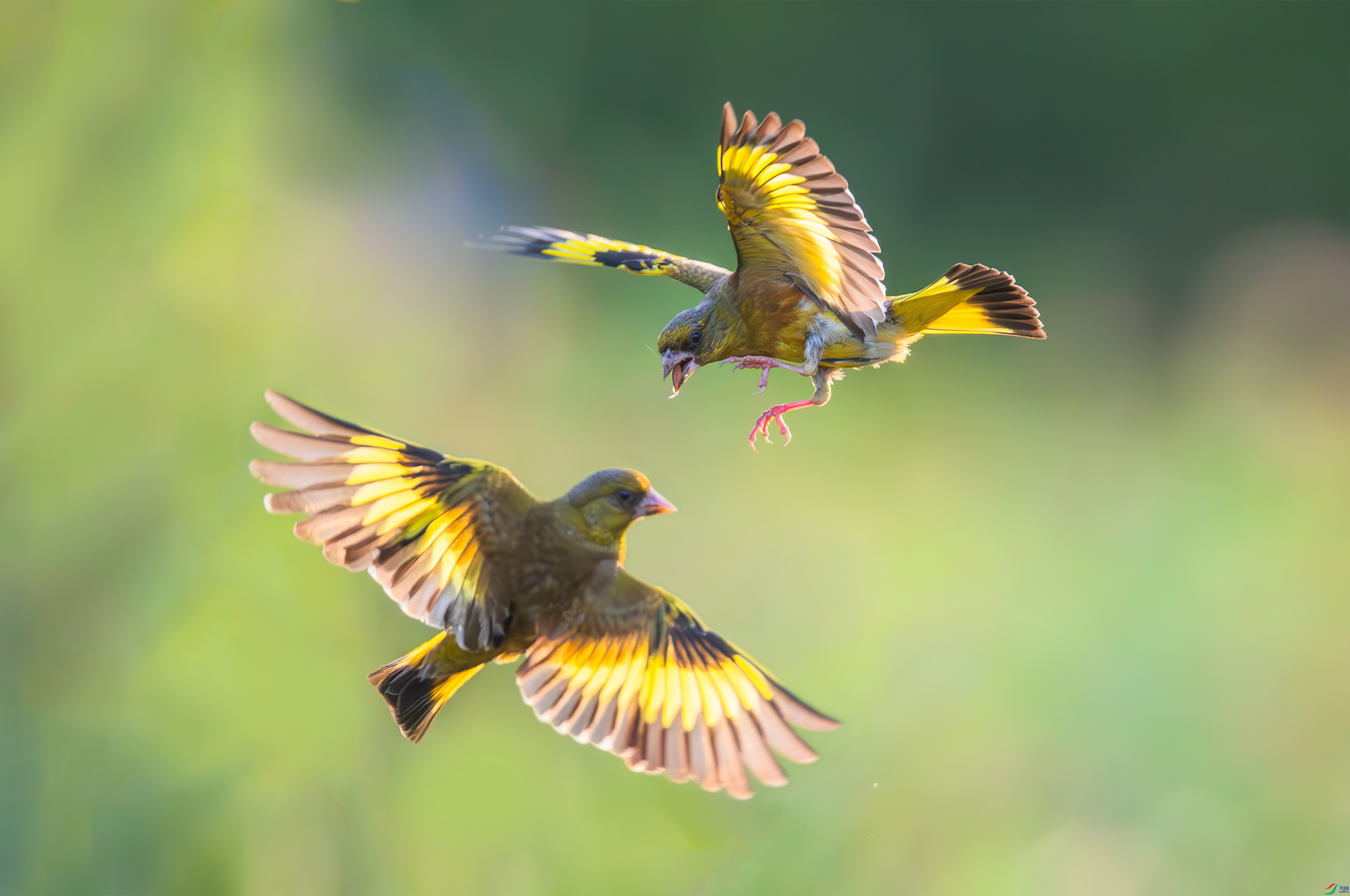 2.17С������ʦ��Ʒ   ���ͱ��ˣ�ף���ٻ����������.jpg