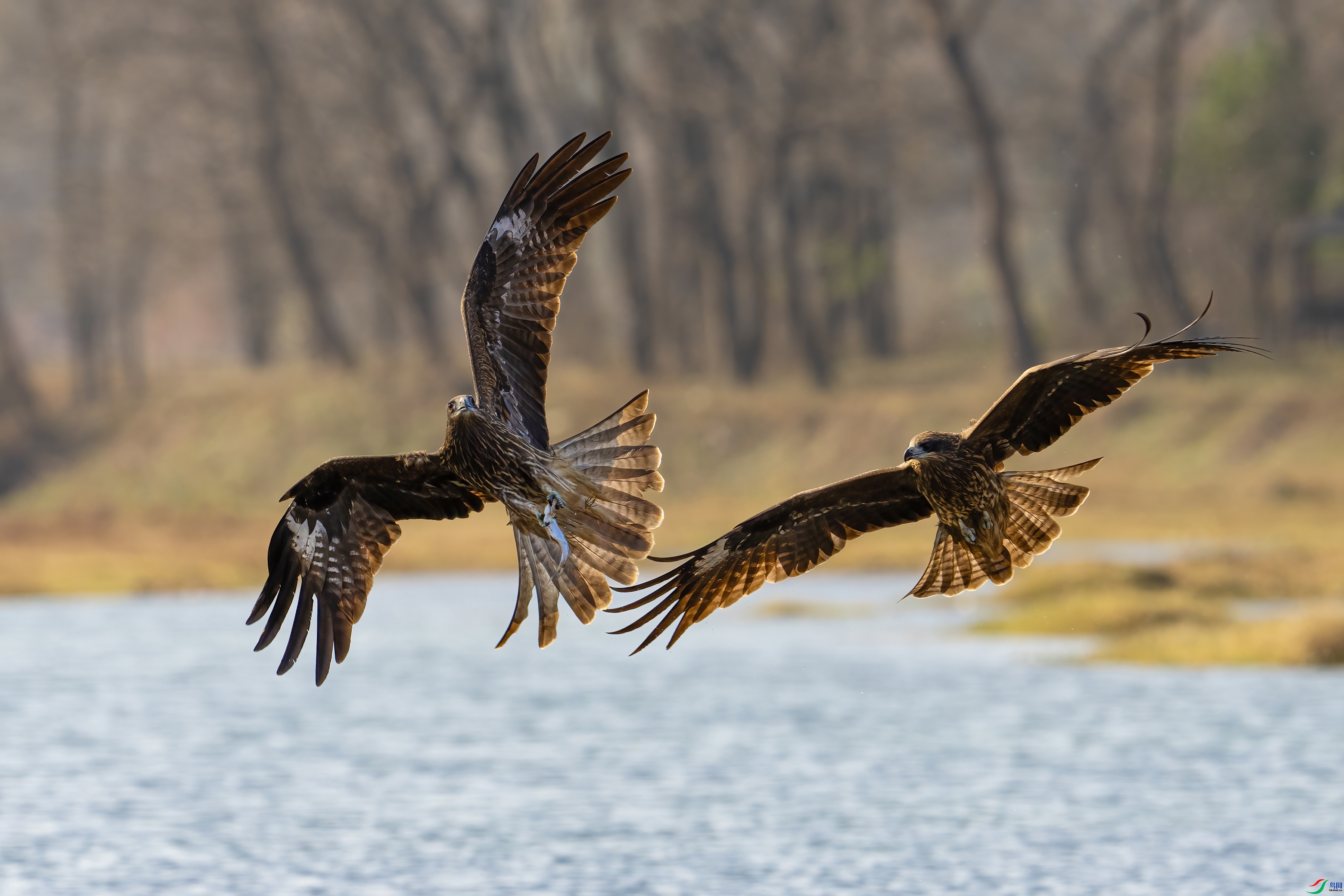 2.18����·��ʦ��Ʒ   ����  ��ף���ٻ����������.jpg