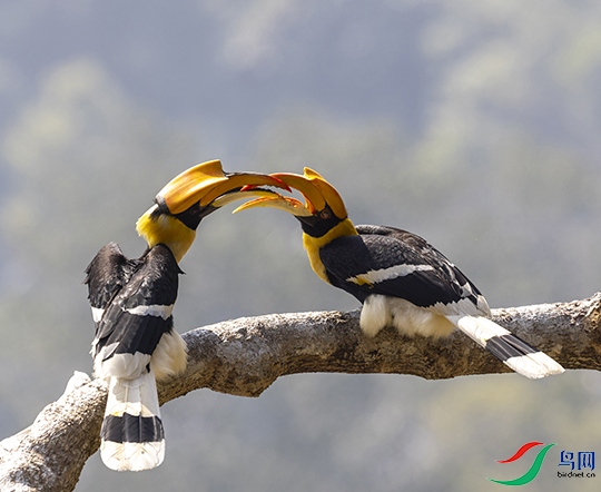 1B5A9788 ���� 4.jpg