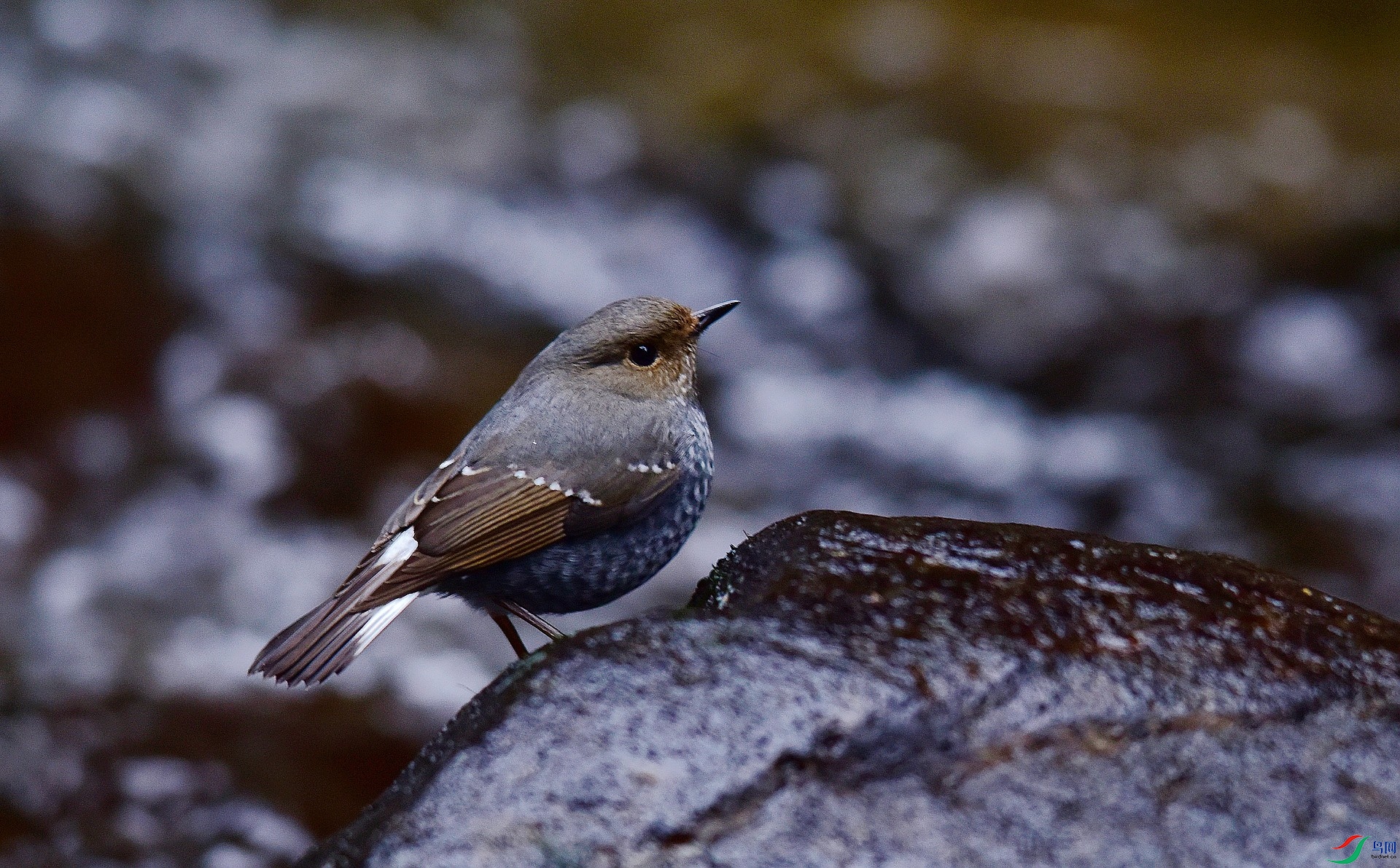D8I_6520.jpg