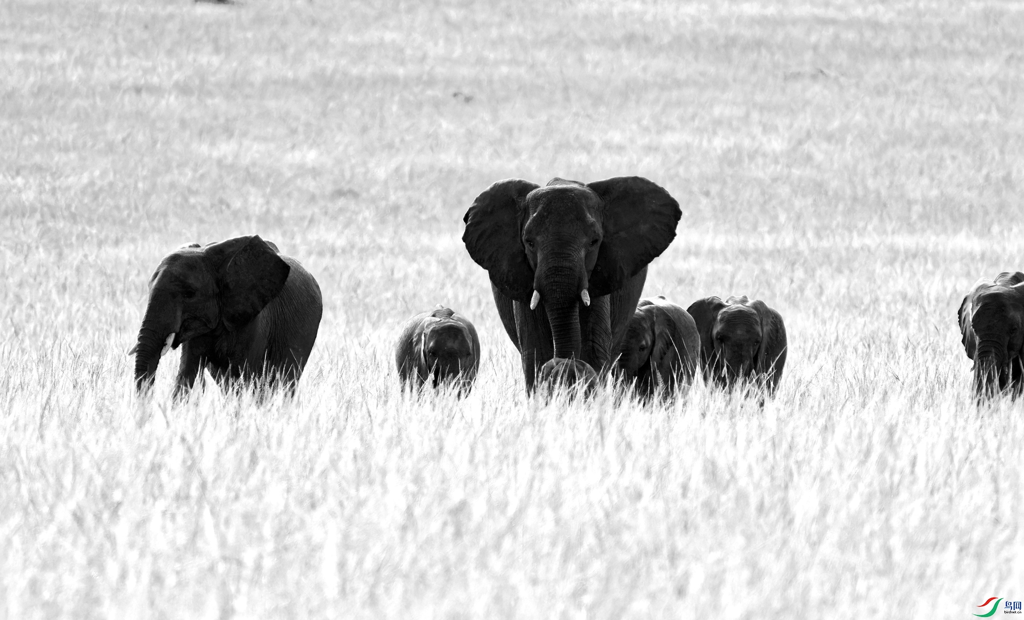 P3243968_DxO ����_����.jpg