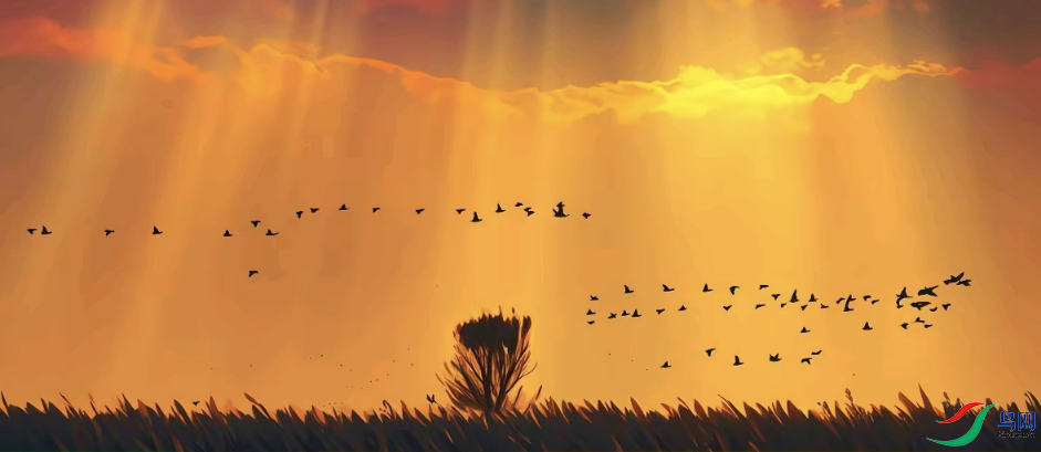 ��Ϧ��Ⱥ��鳲�ˡ�