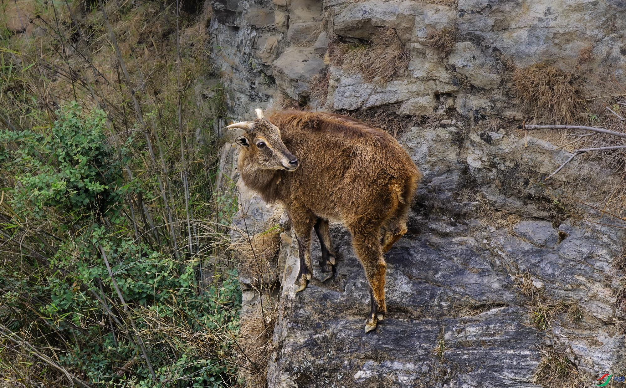 _DSC3643.jpg