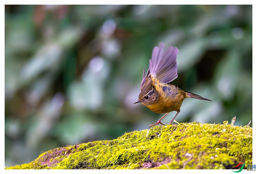 _DSC6258-����ǿ-NR ����_1.jpg