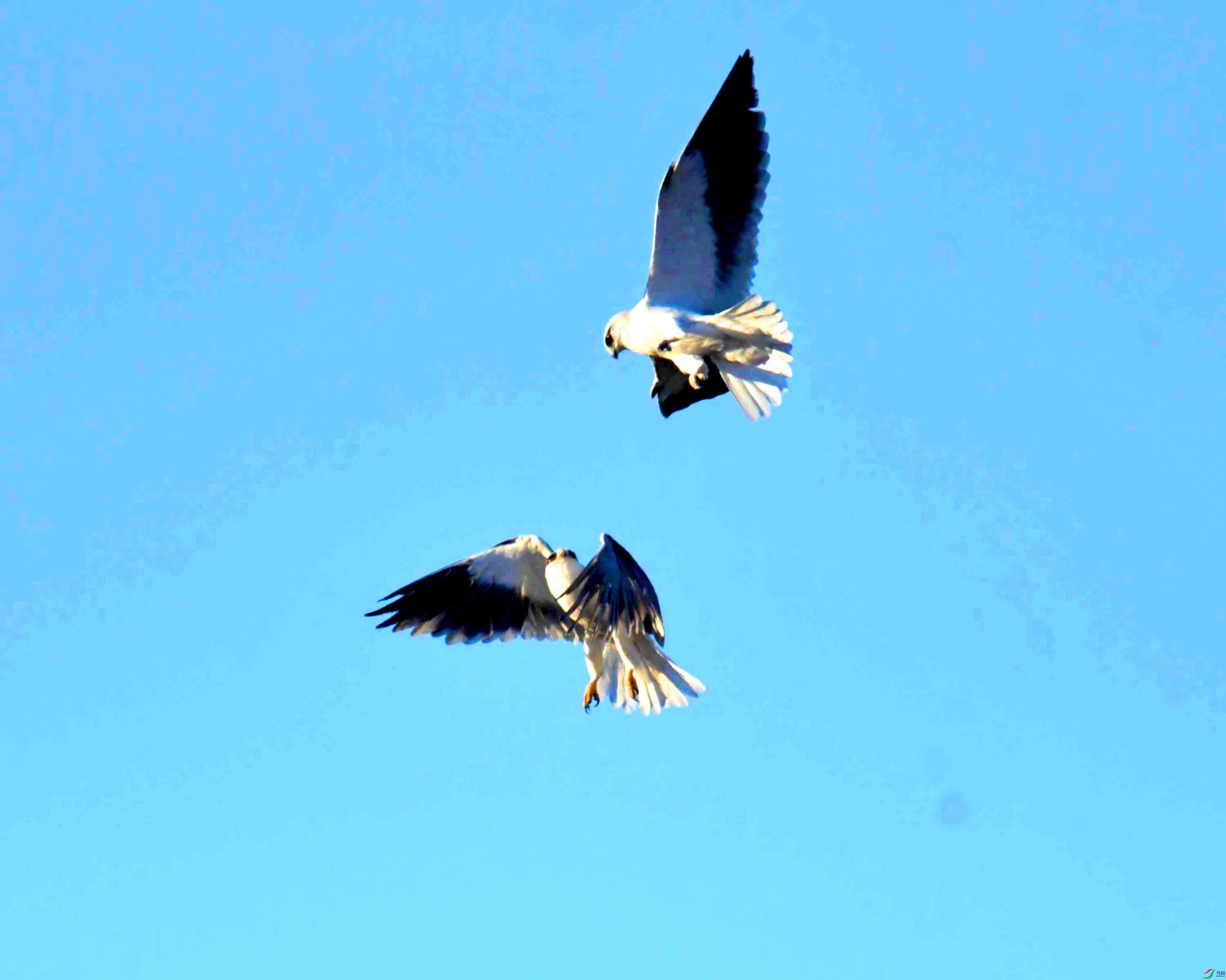 DSC_7606.JPG