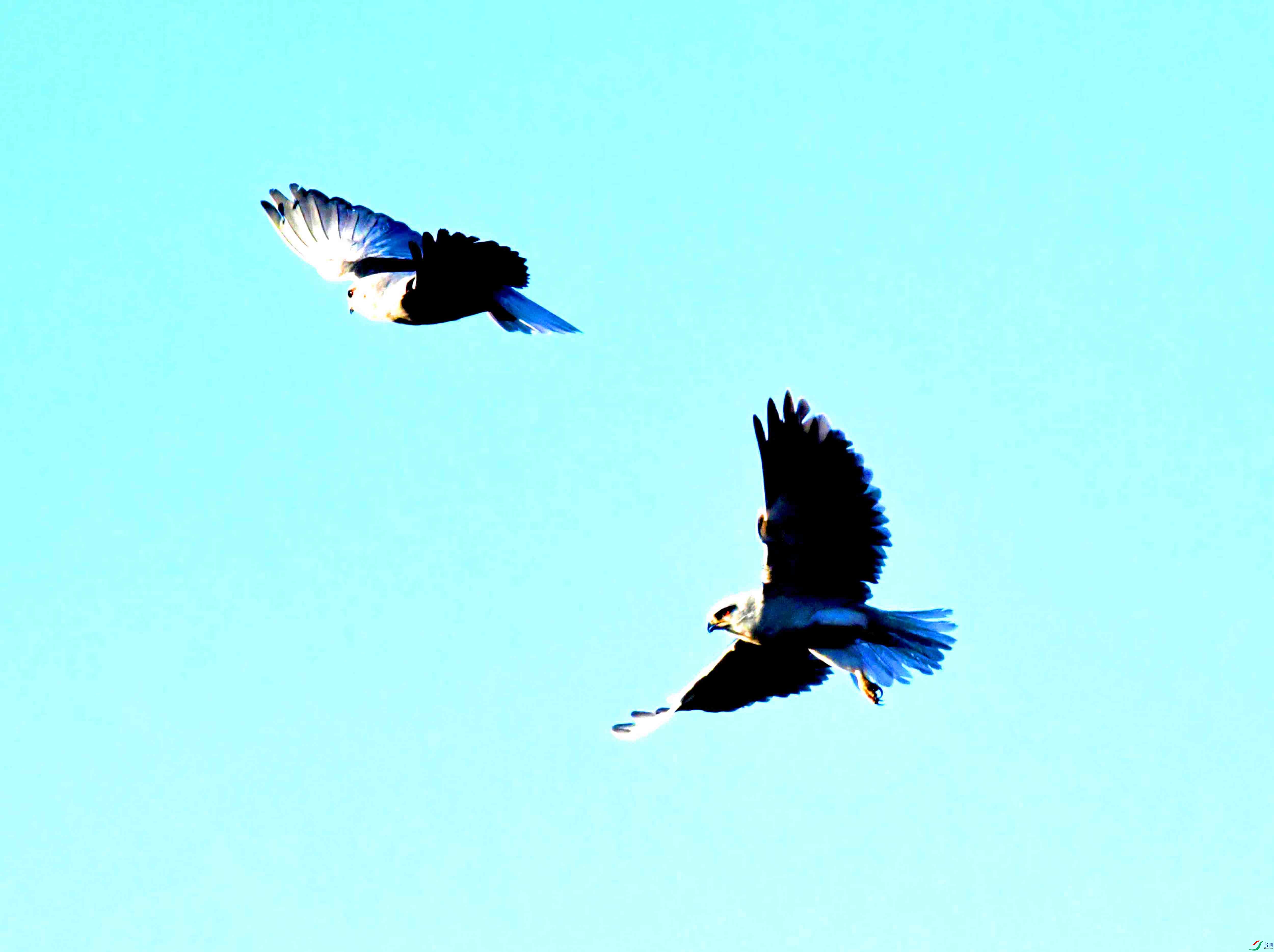 DSC_7609.JPG