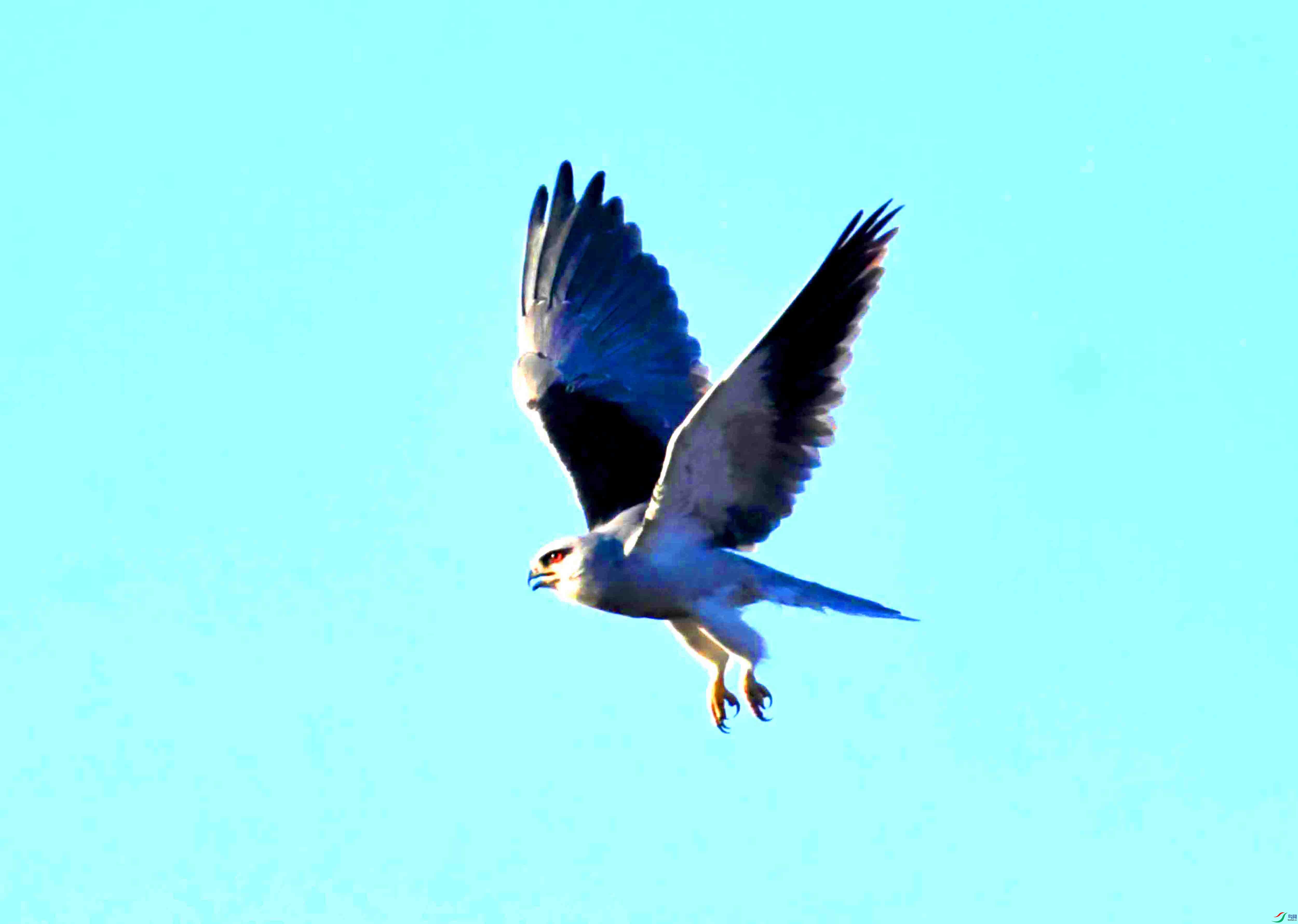 DSC_7612.JPG