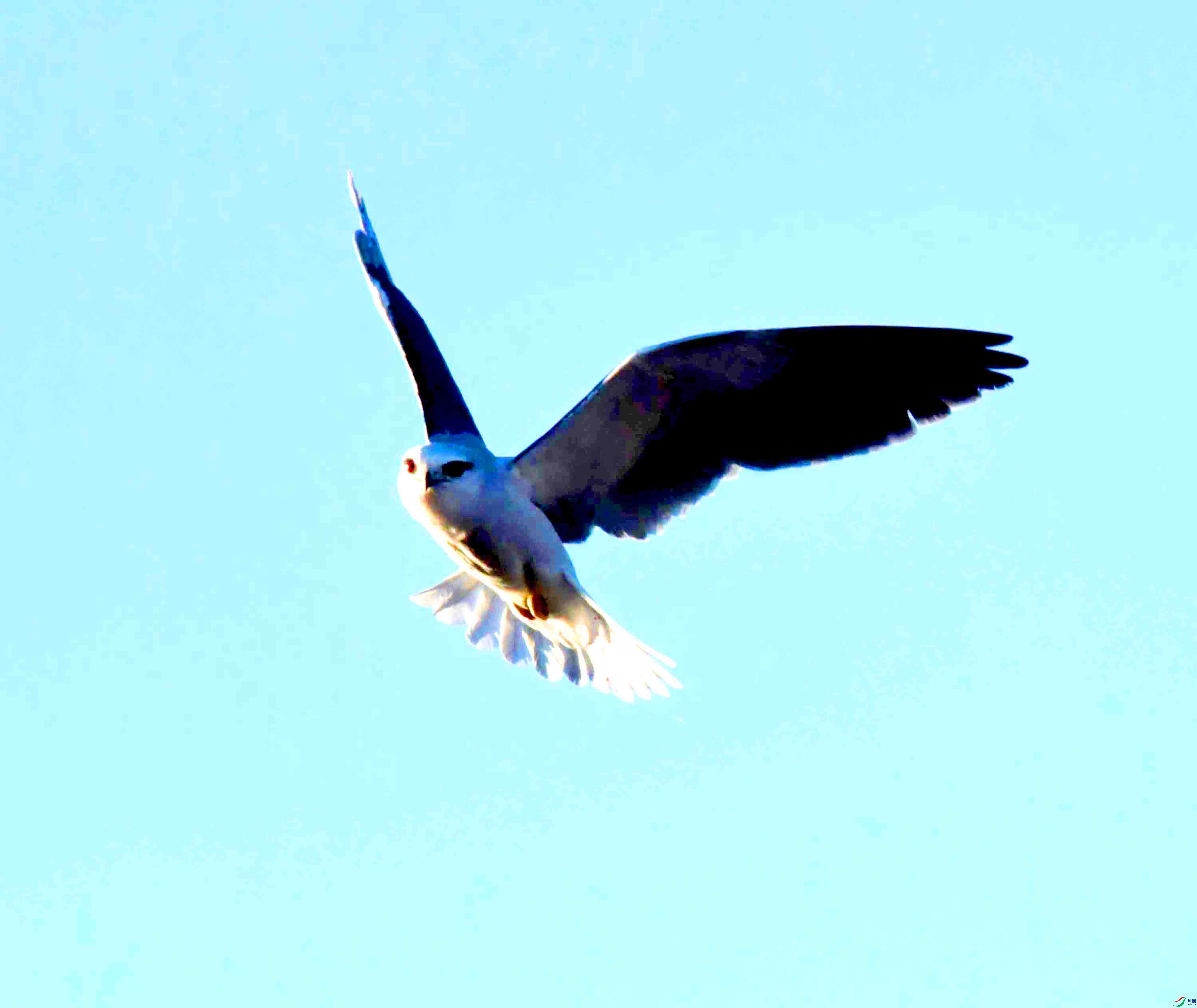DSC_7617.JPG
