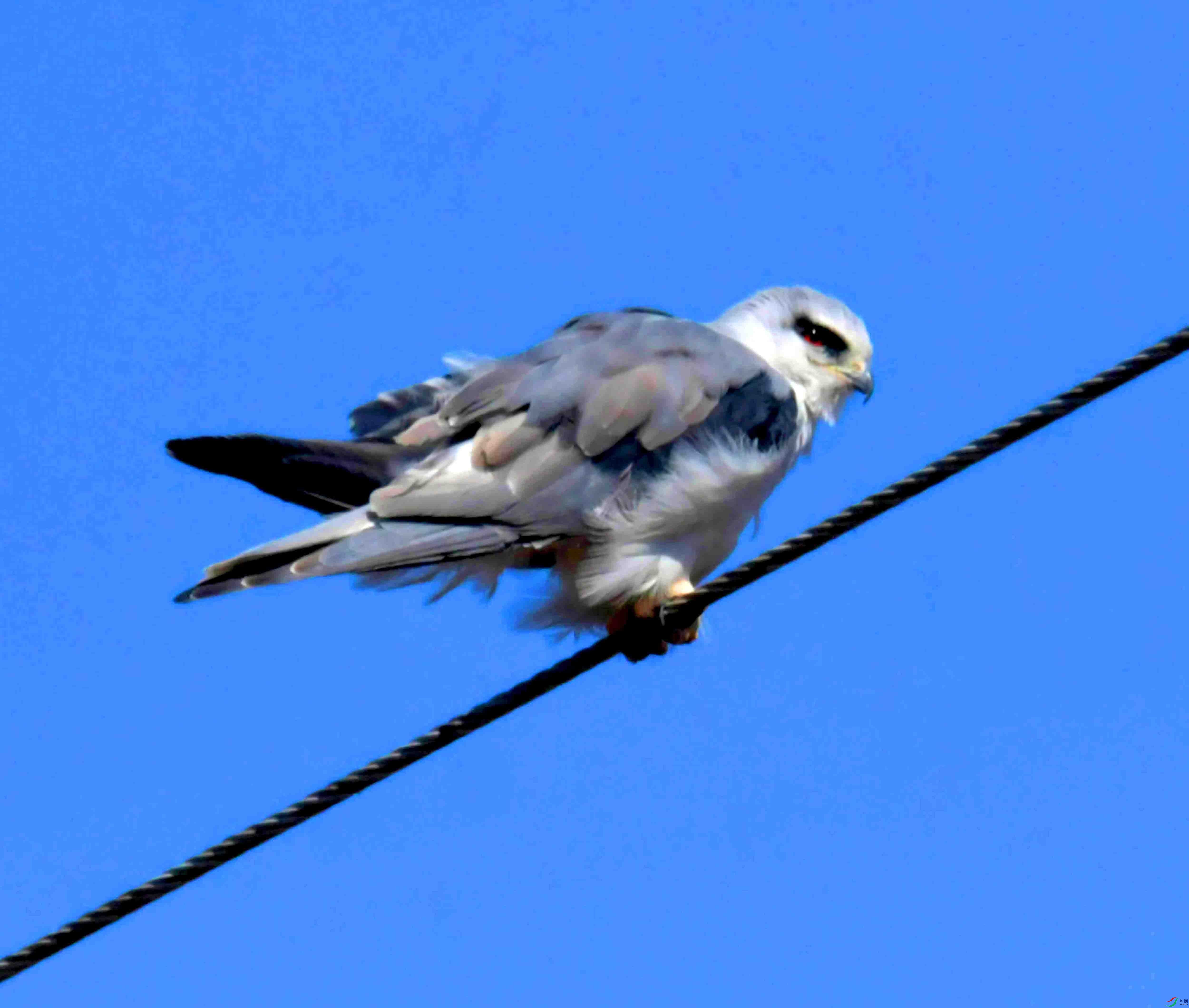 DSC_8246.JPG