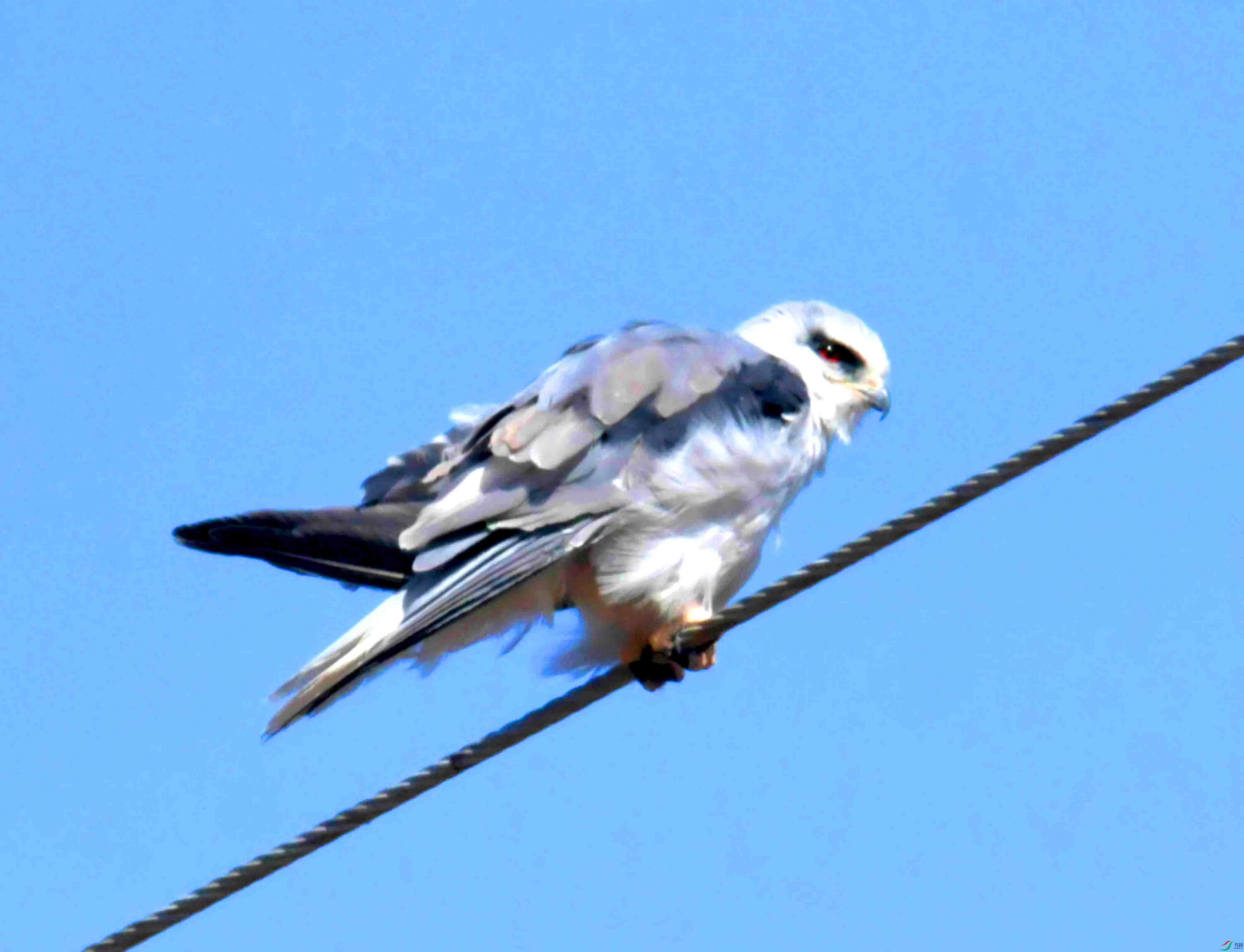DSC_8247.JPG