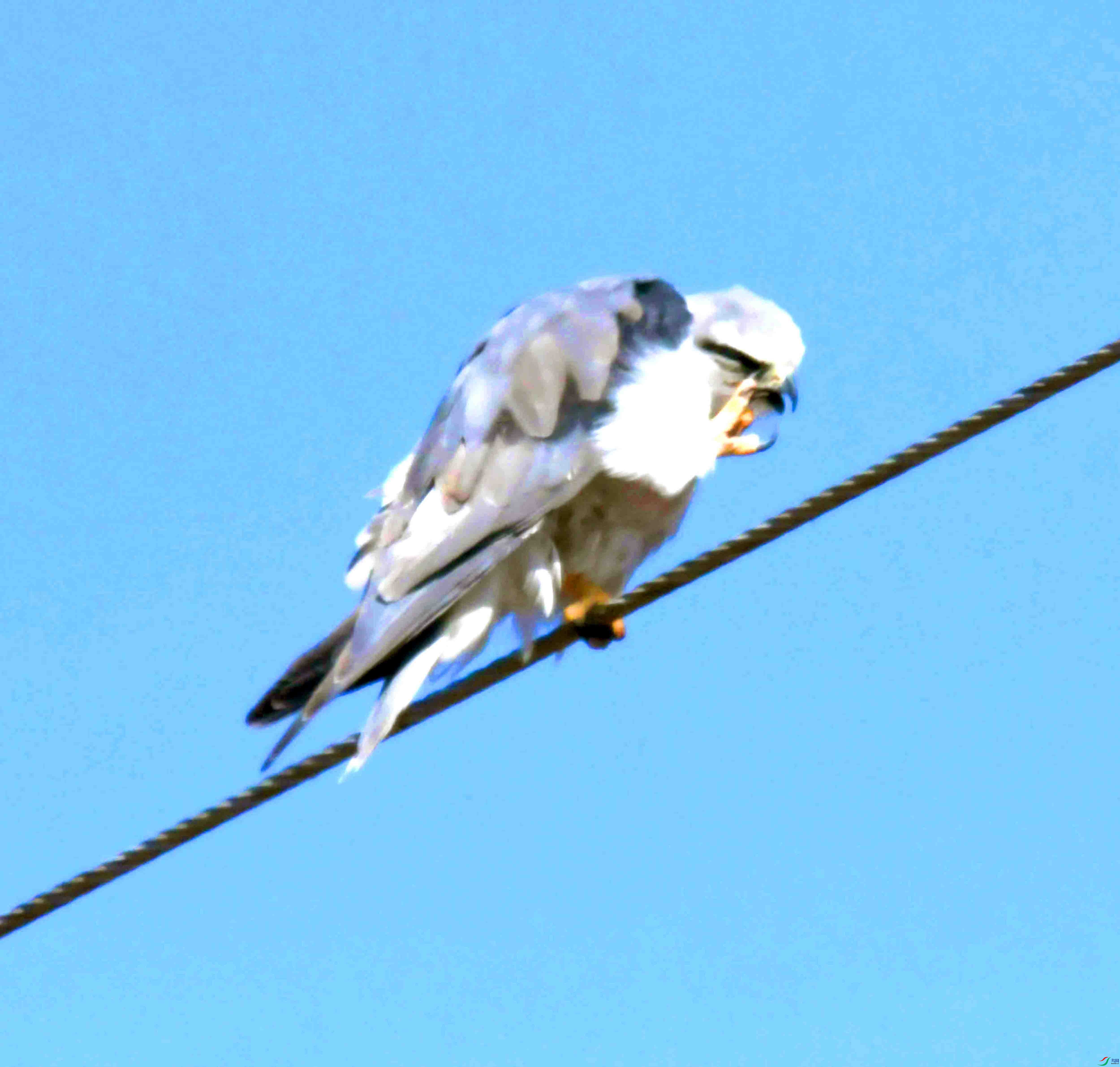 DSC_8251.JPG