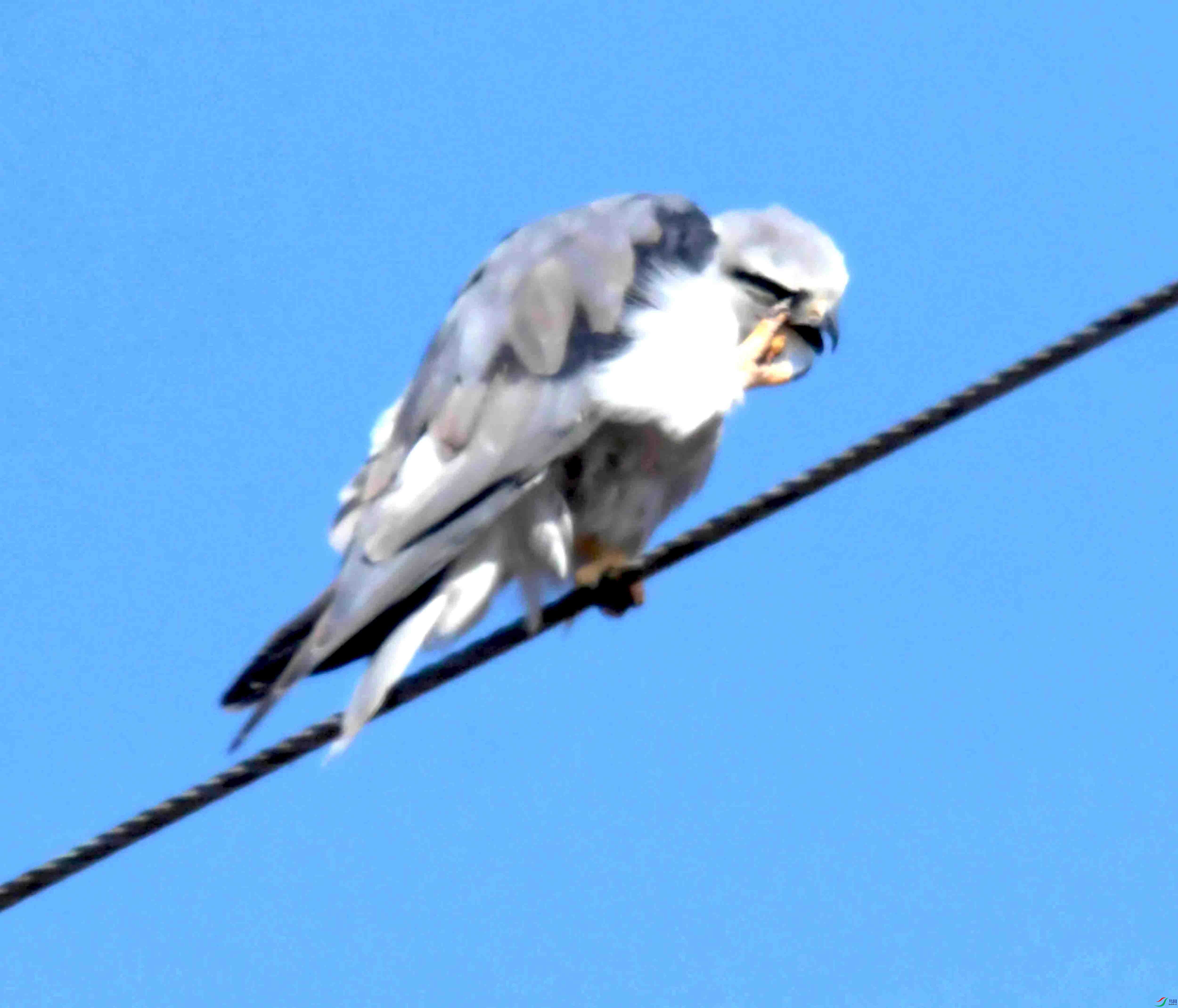 DSC_8250.JPG