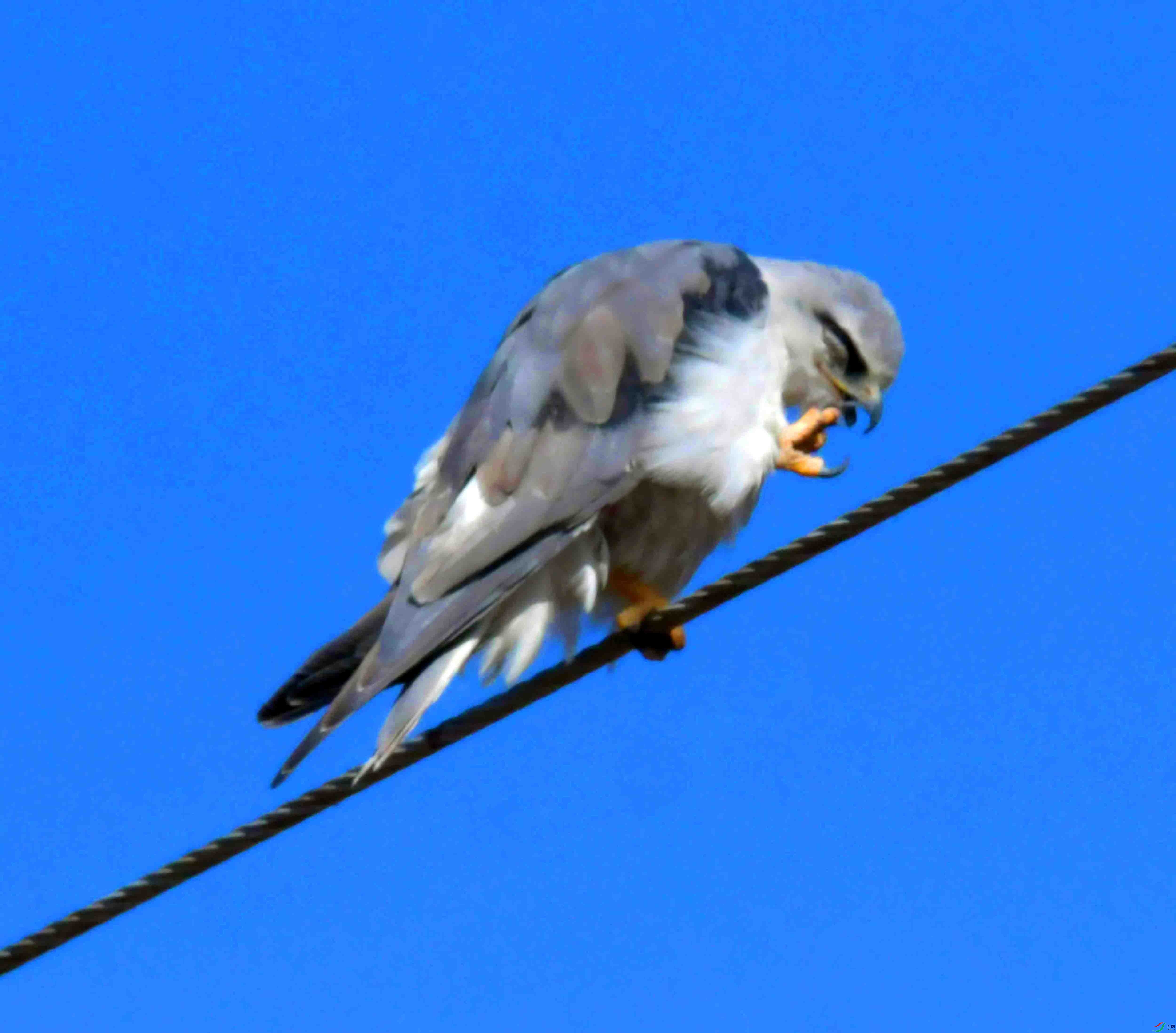 DSC_8254.JPG