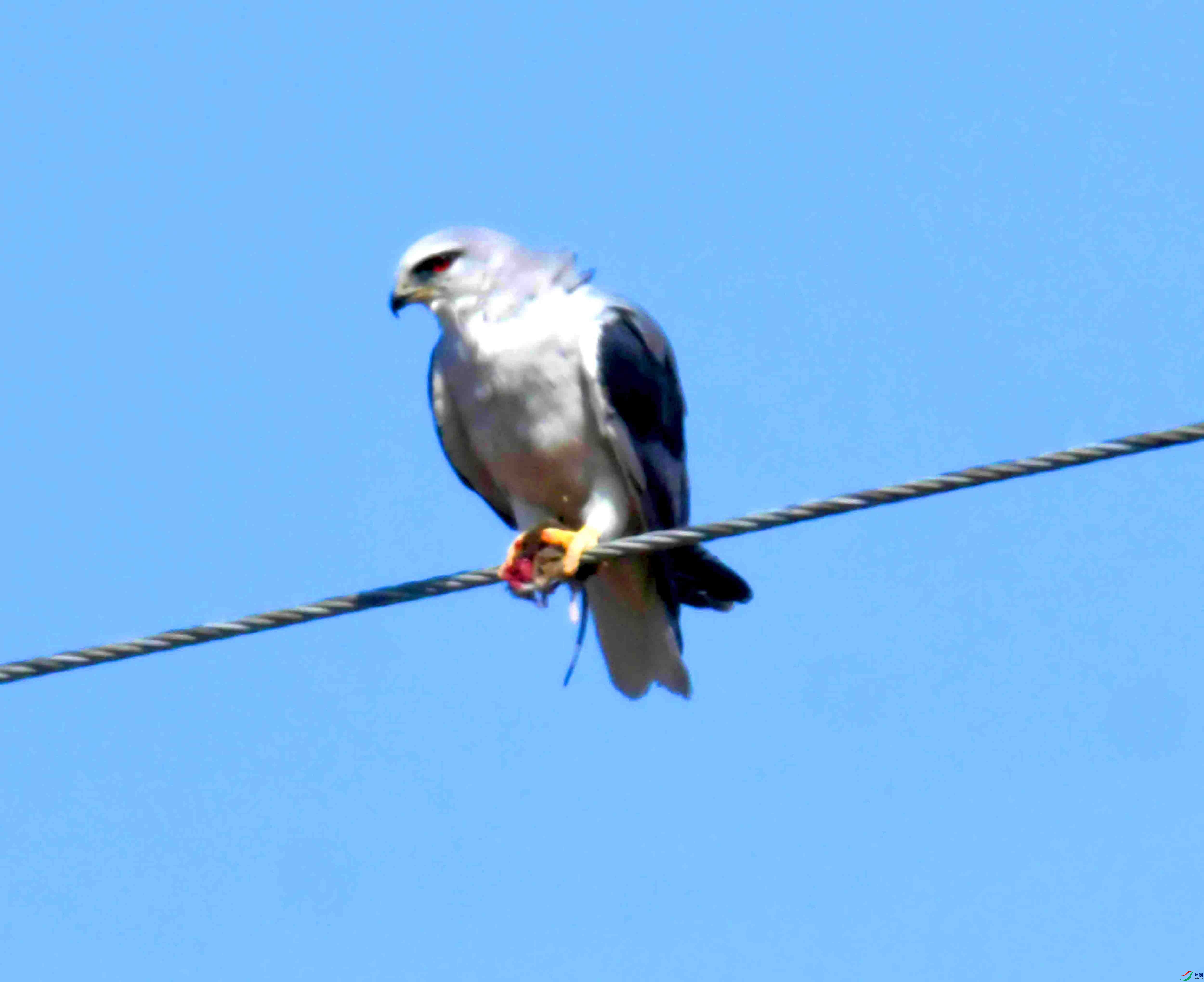 DSC_8391.JPG