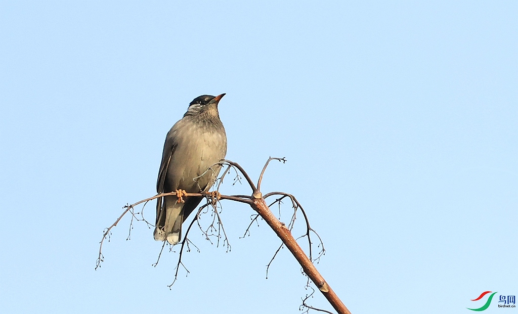 1P3A5506.JPG