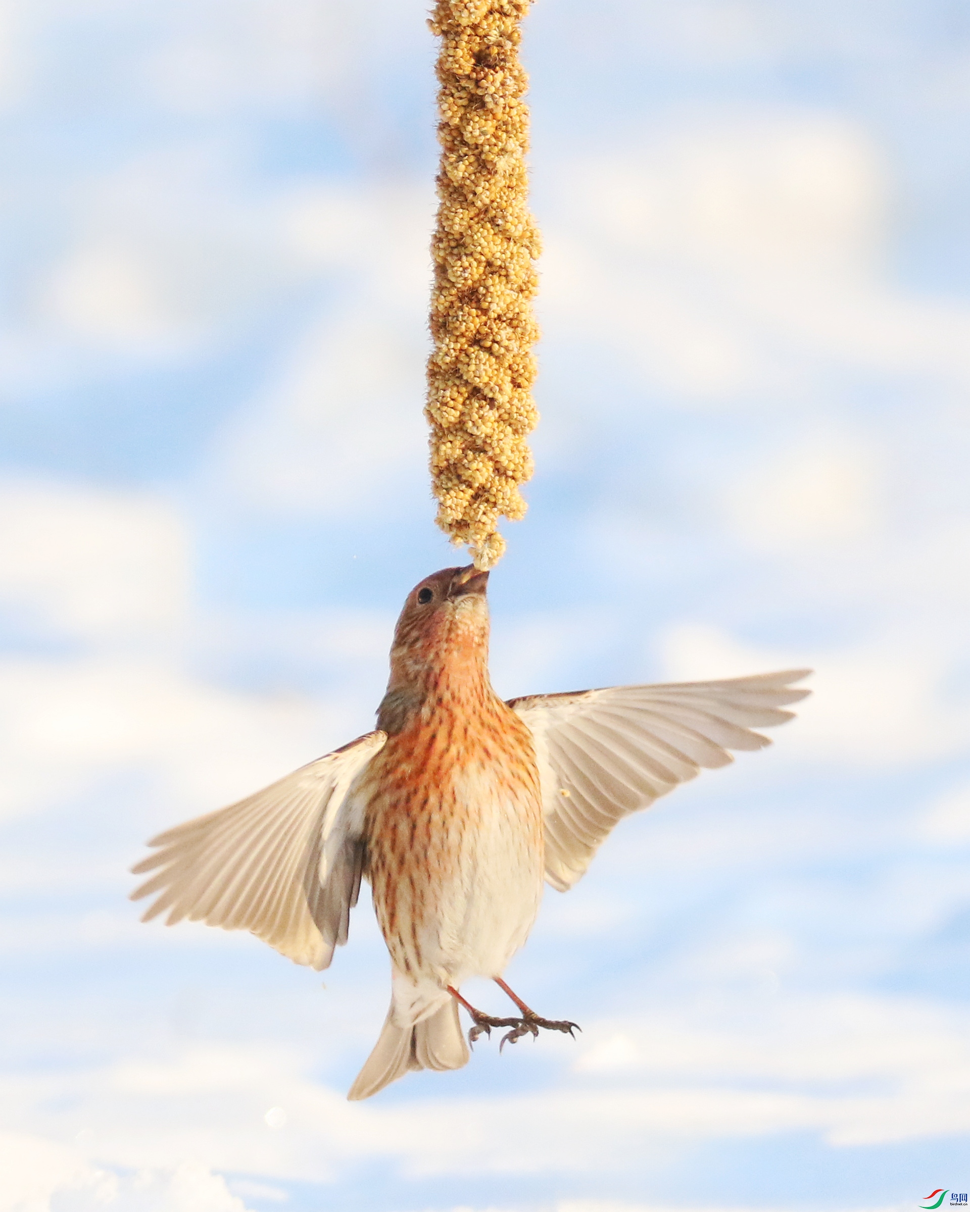 0G1A5642 ����.jpg