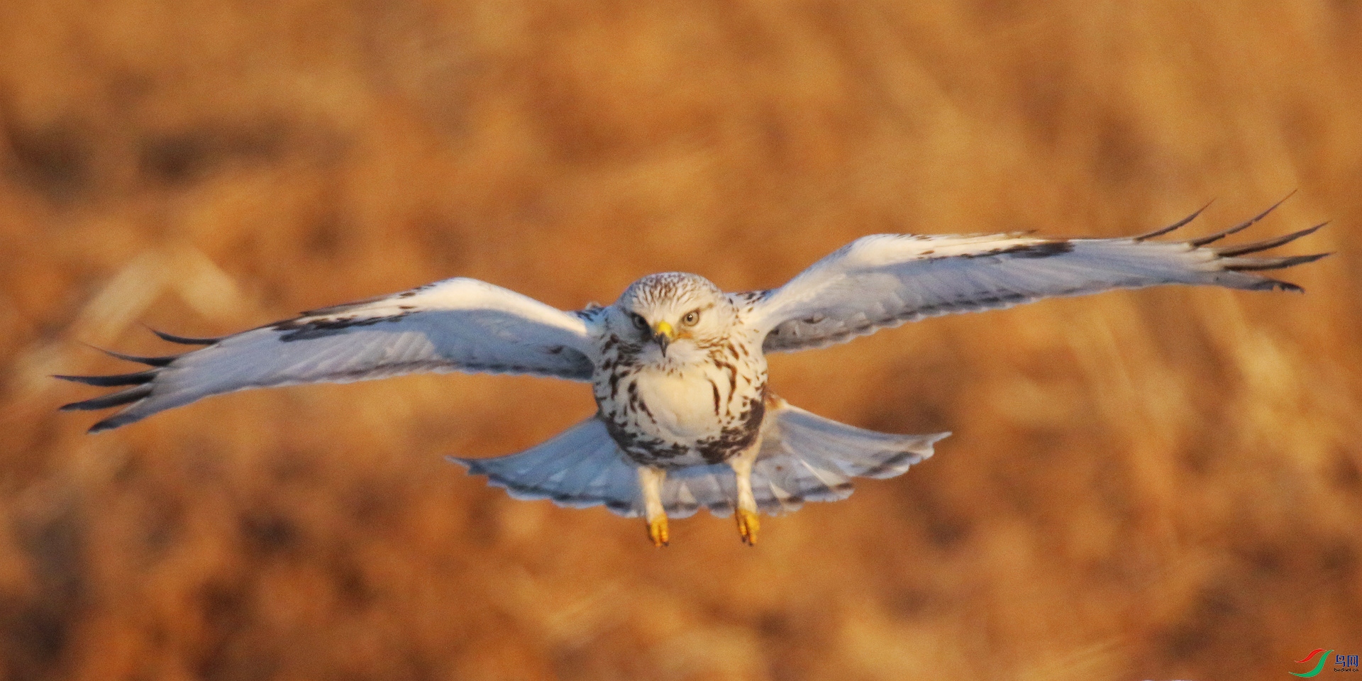 0G1A5126 ����.jpg