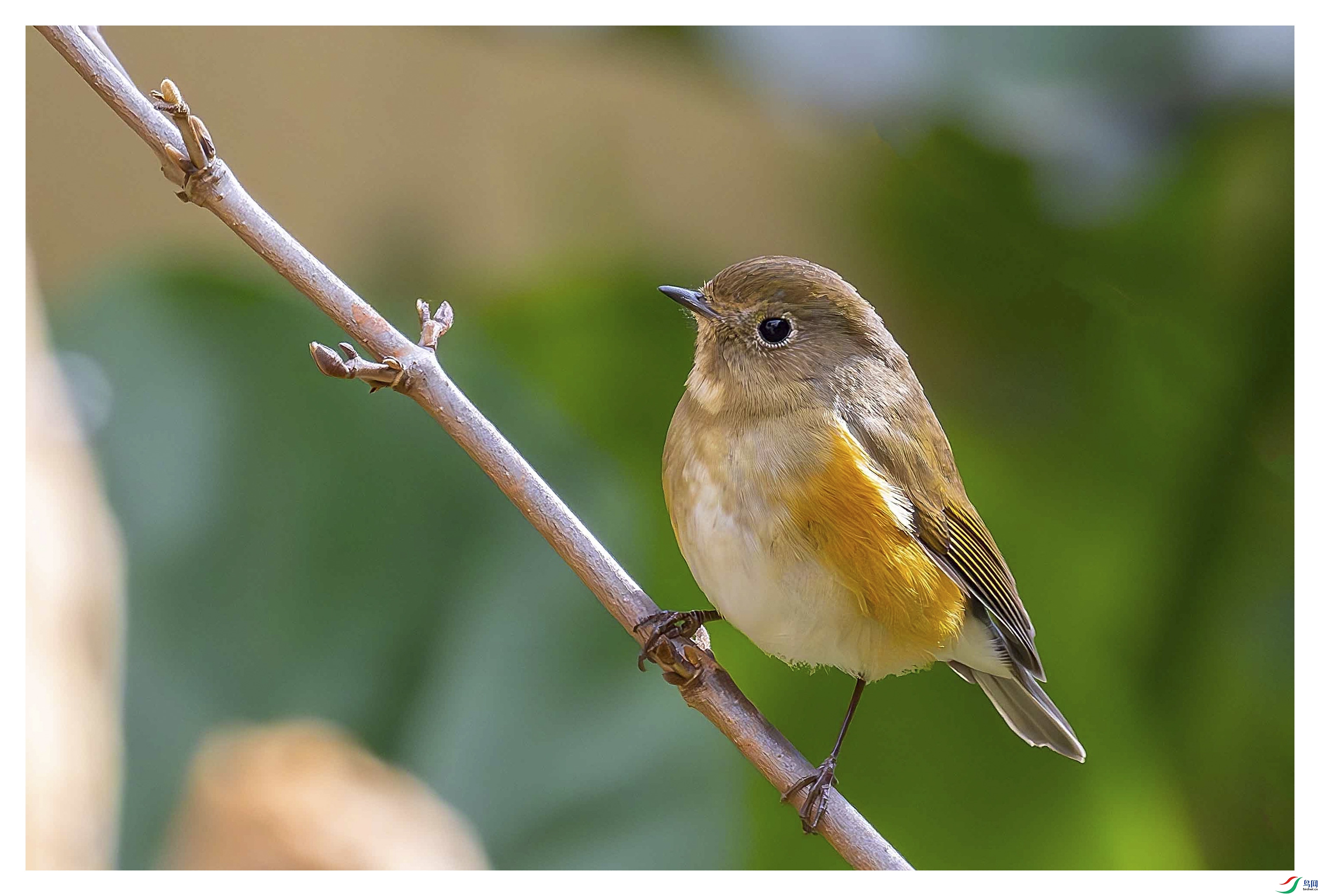 _DSC3800-����ǿ-NR ���� 2.jpg