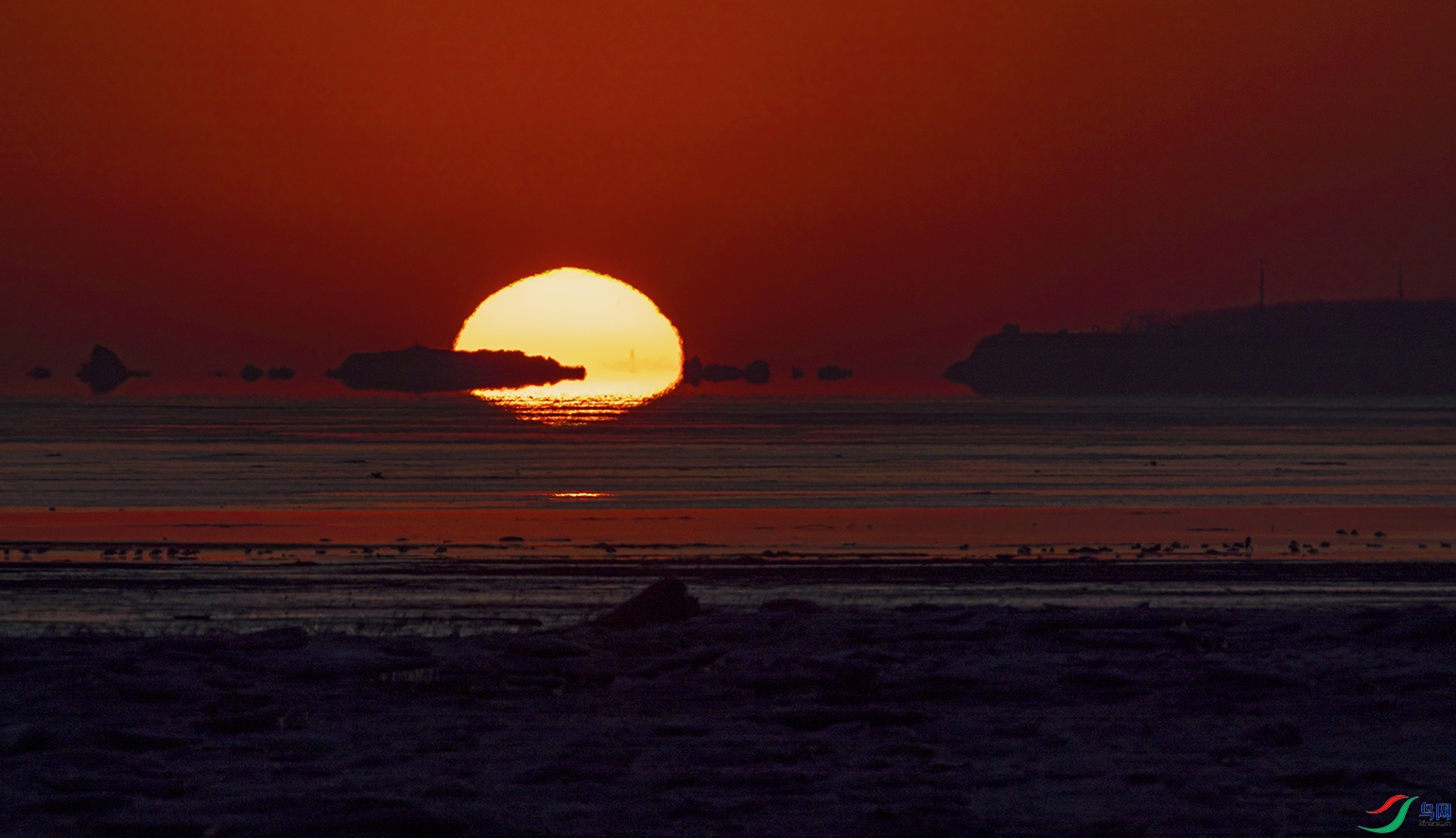 _5LM2335a.jpg