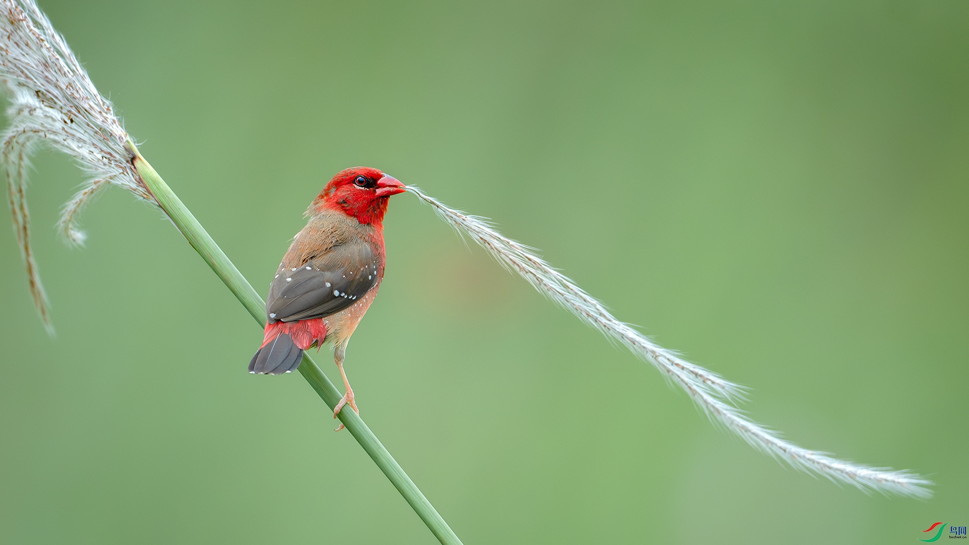 DSC_0551-����ǿ-NR ���� 22.jpg