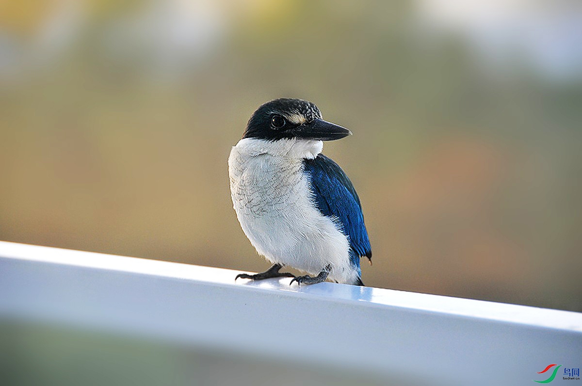 ����  DSC_6338_.jpg