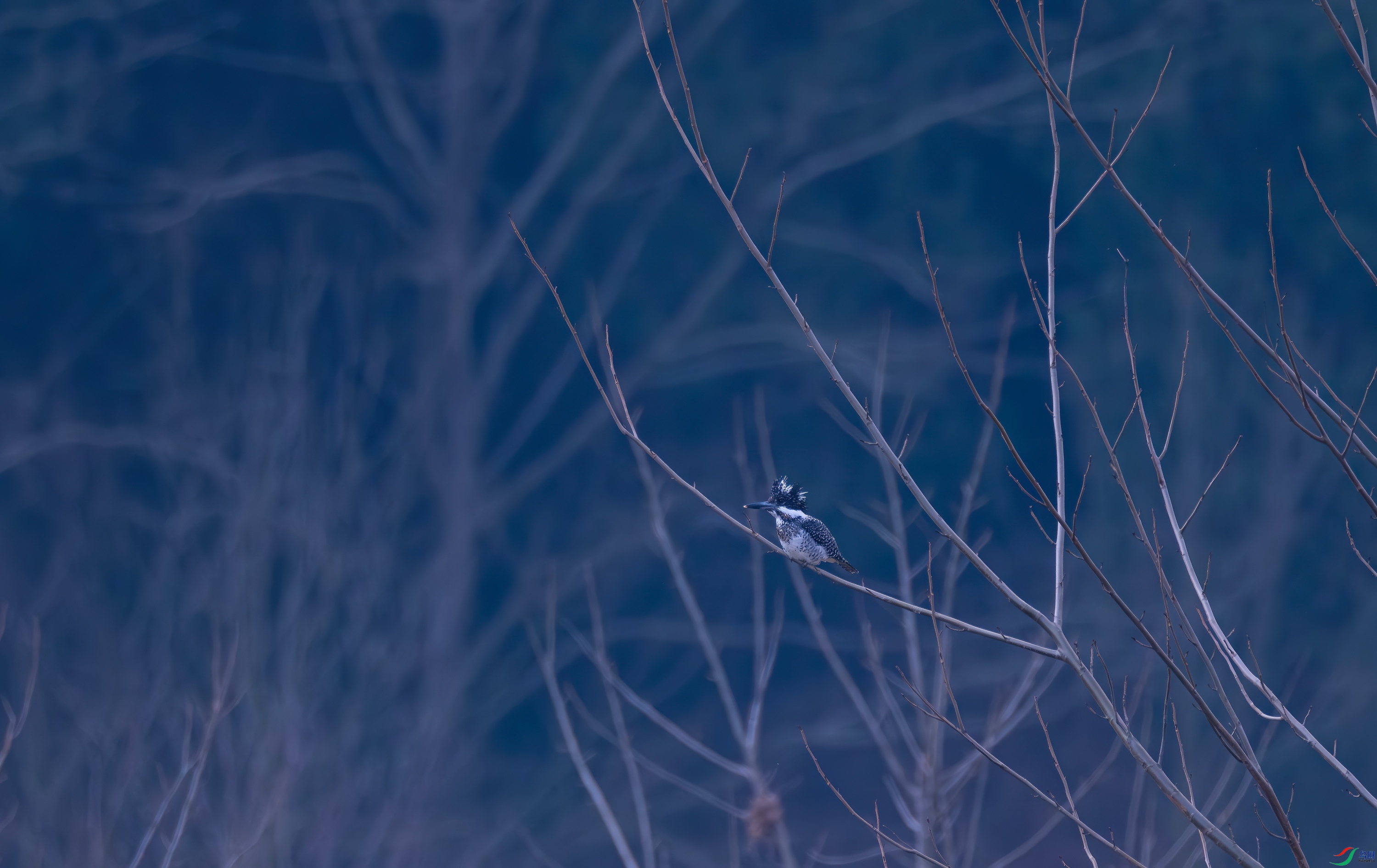 DSCF4599.jpg