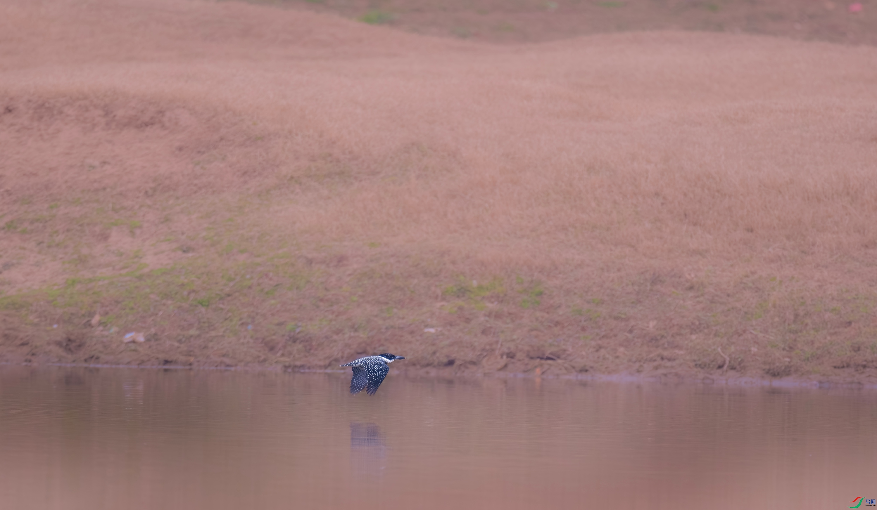 DSCF4780.jpg